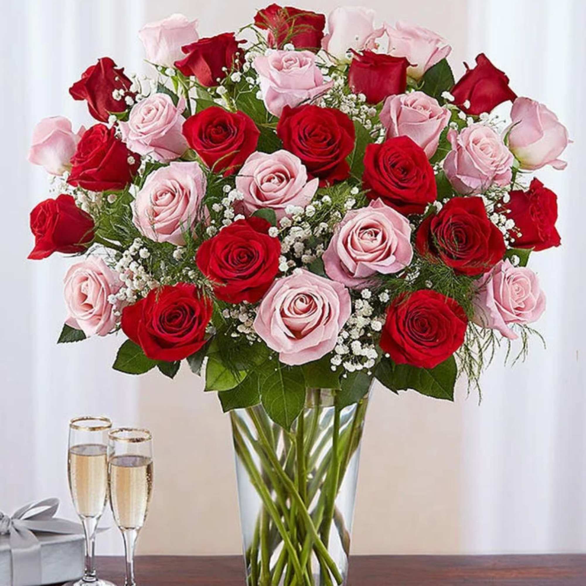 Beautiful roses, the special gift for the special person
