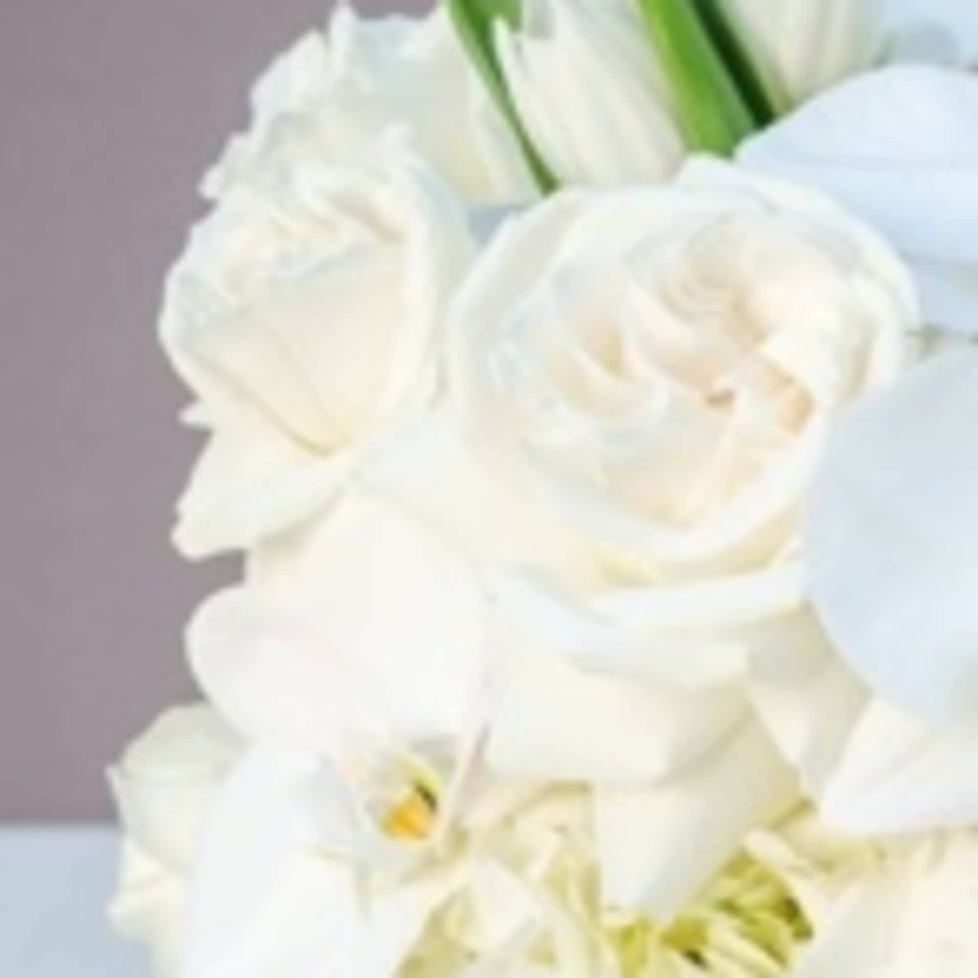 Luxury monochromatic white floral design  lush and full of premium white