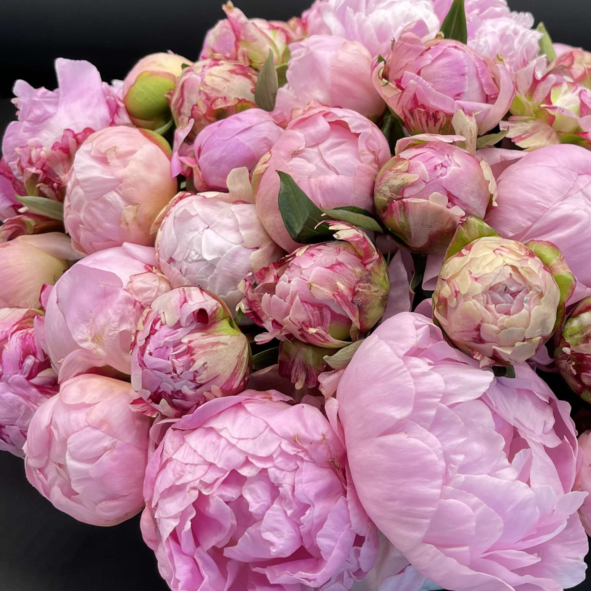 Fifty peonies colors and sizes will vary. We will pick the best