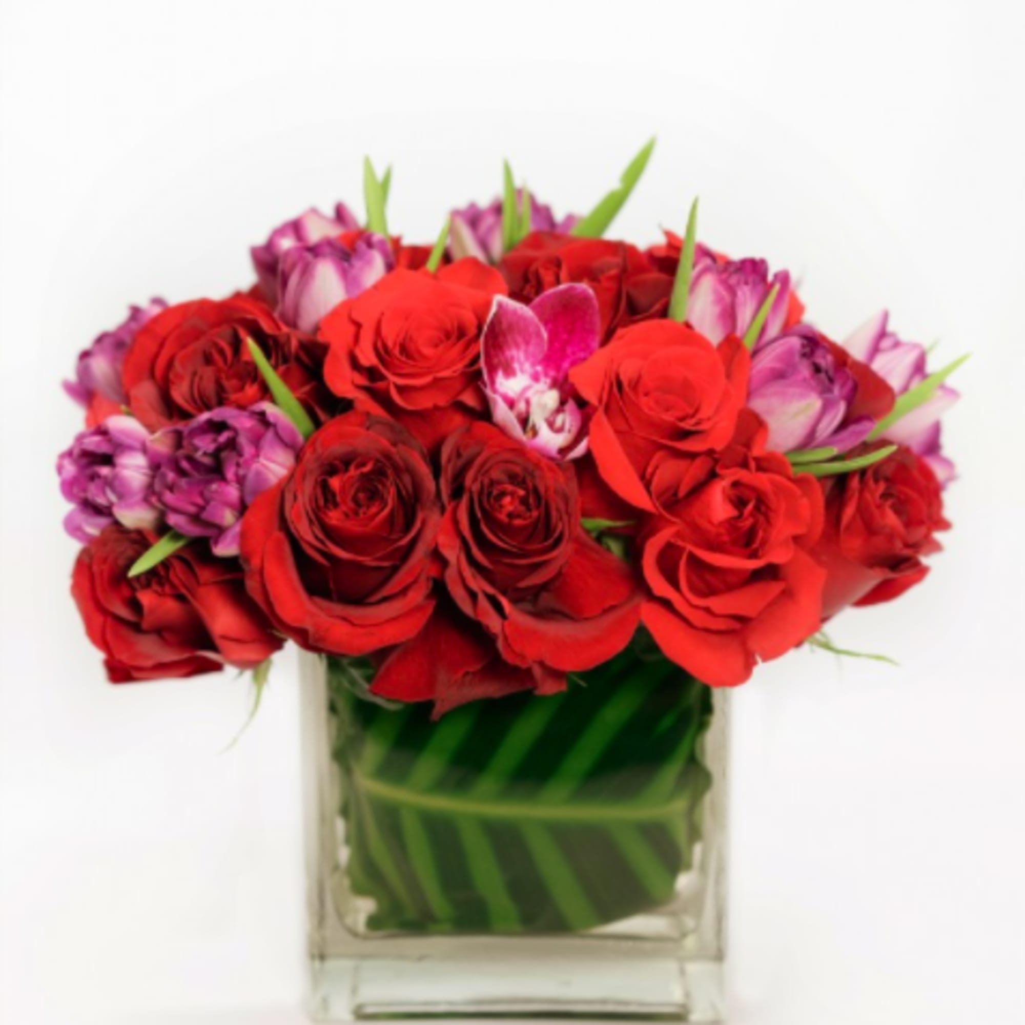 Forever Young will brighten up any room it enters. The stunning combination