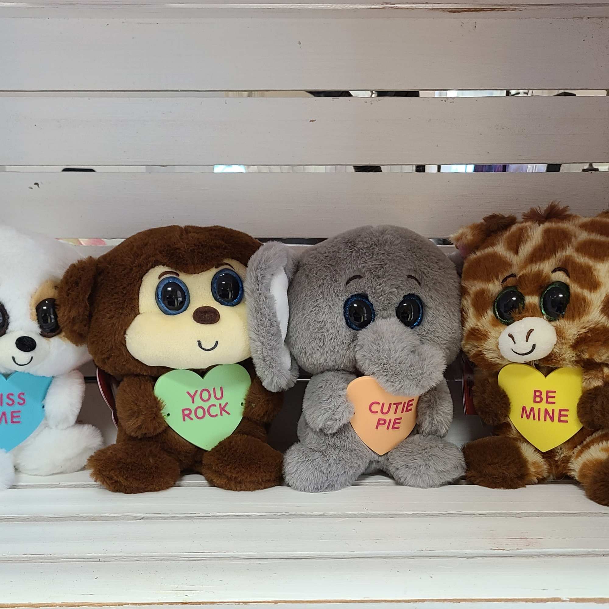 This cute bundle is perfect for the young at heart! May have