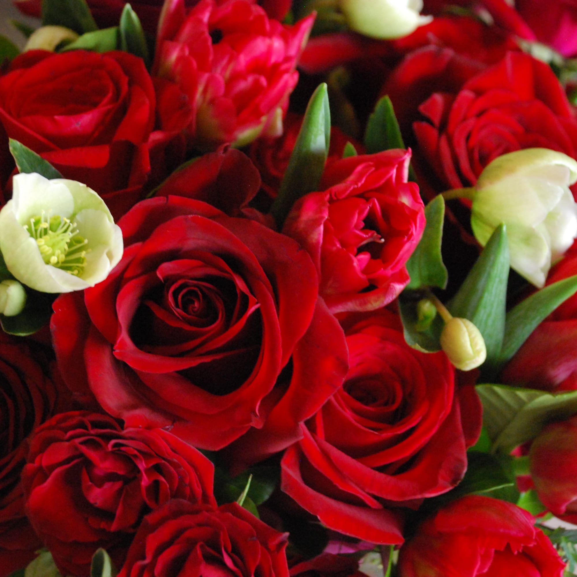 Classic of classic with a touch of green. Red roses, red spray