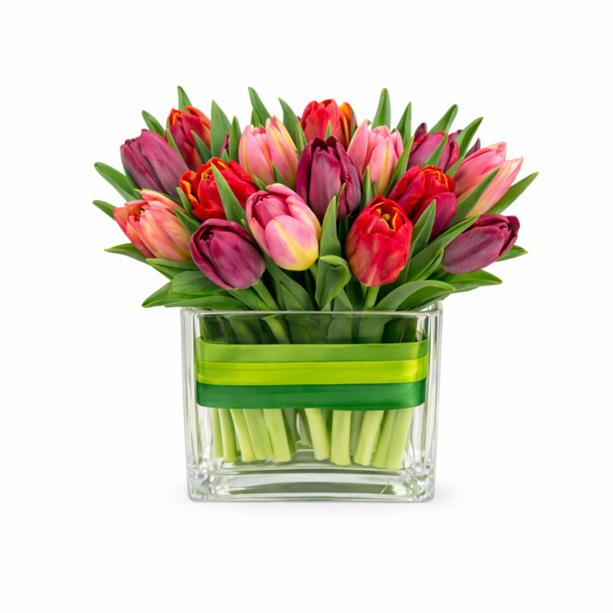 A gathering of deep red, hot pink and strong purple tulips, waiting