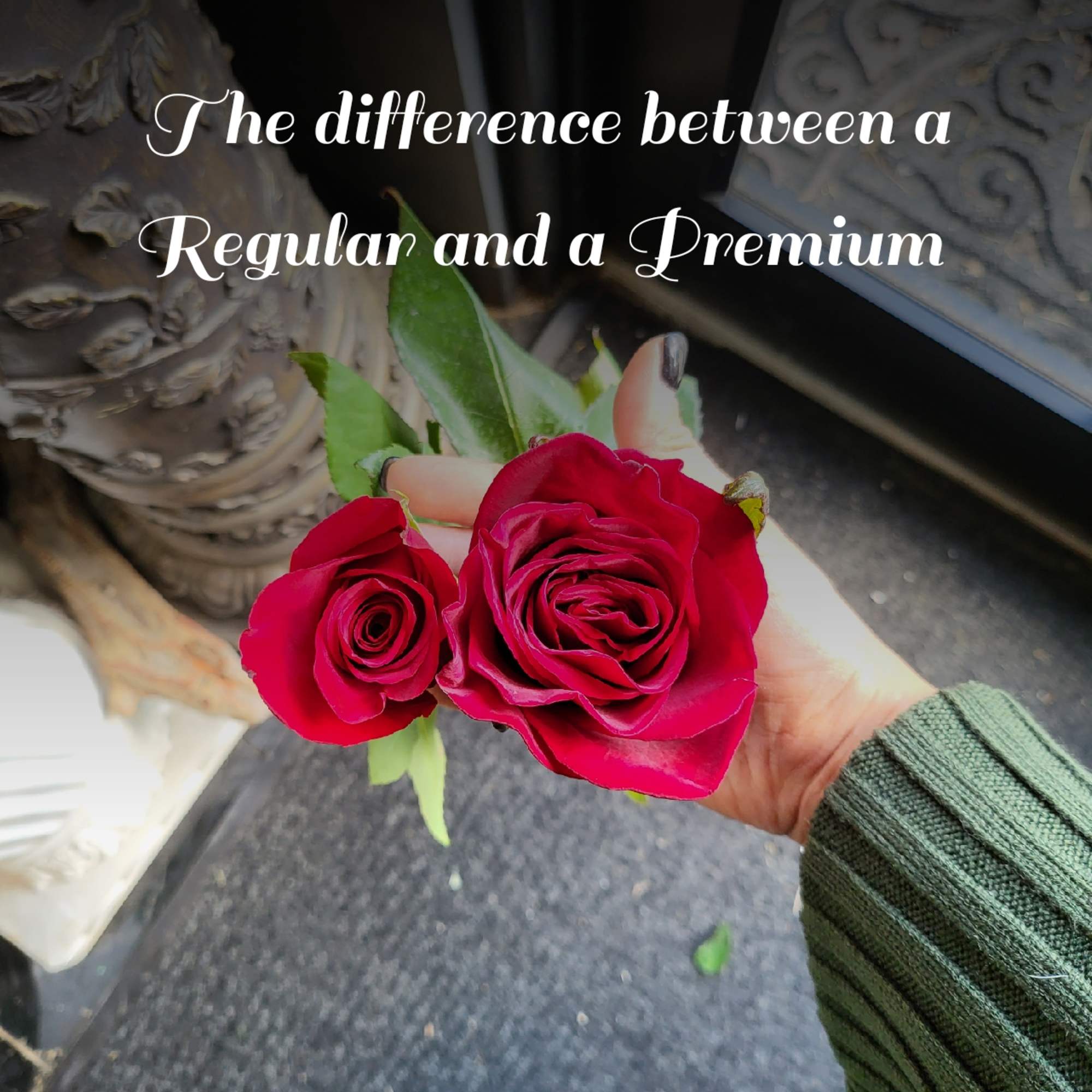 This is for your very special person who has too many vases.