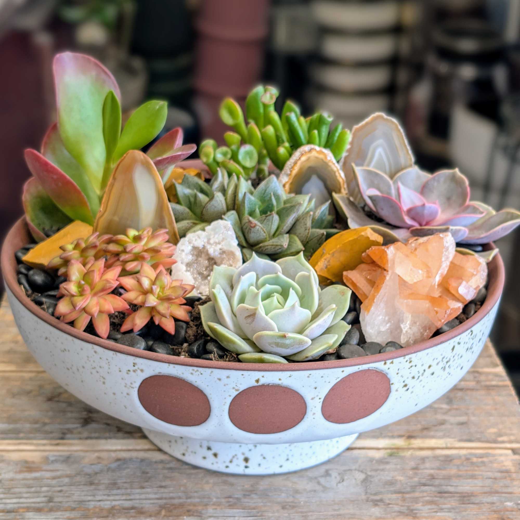 Introducing Arlo &mdash; a soulful desert garden rooted in quiet strength and