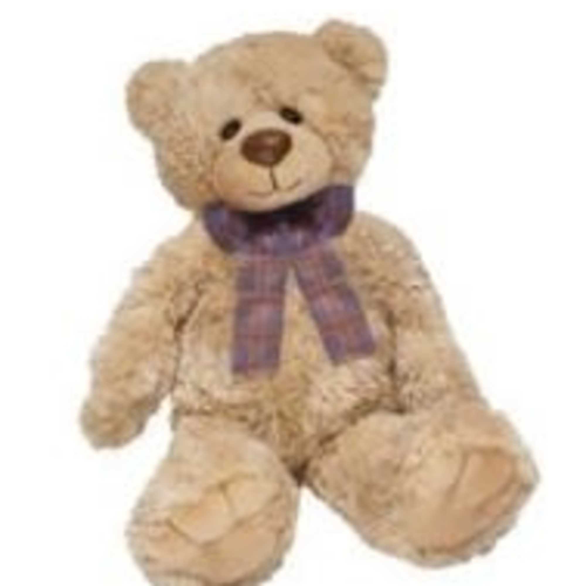 Regis is a cute and cuddly bear looking for a forever home