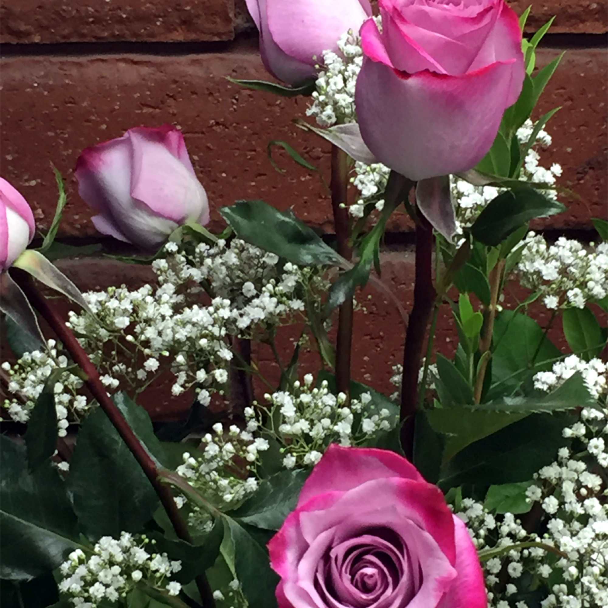 Perfect for the lavender lover! The supple lavender tone spectacularly displays one