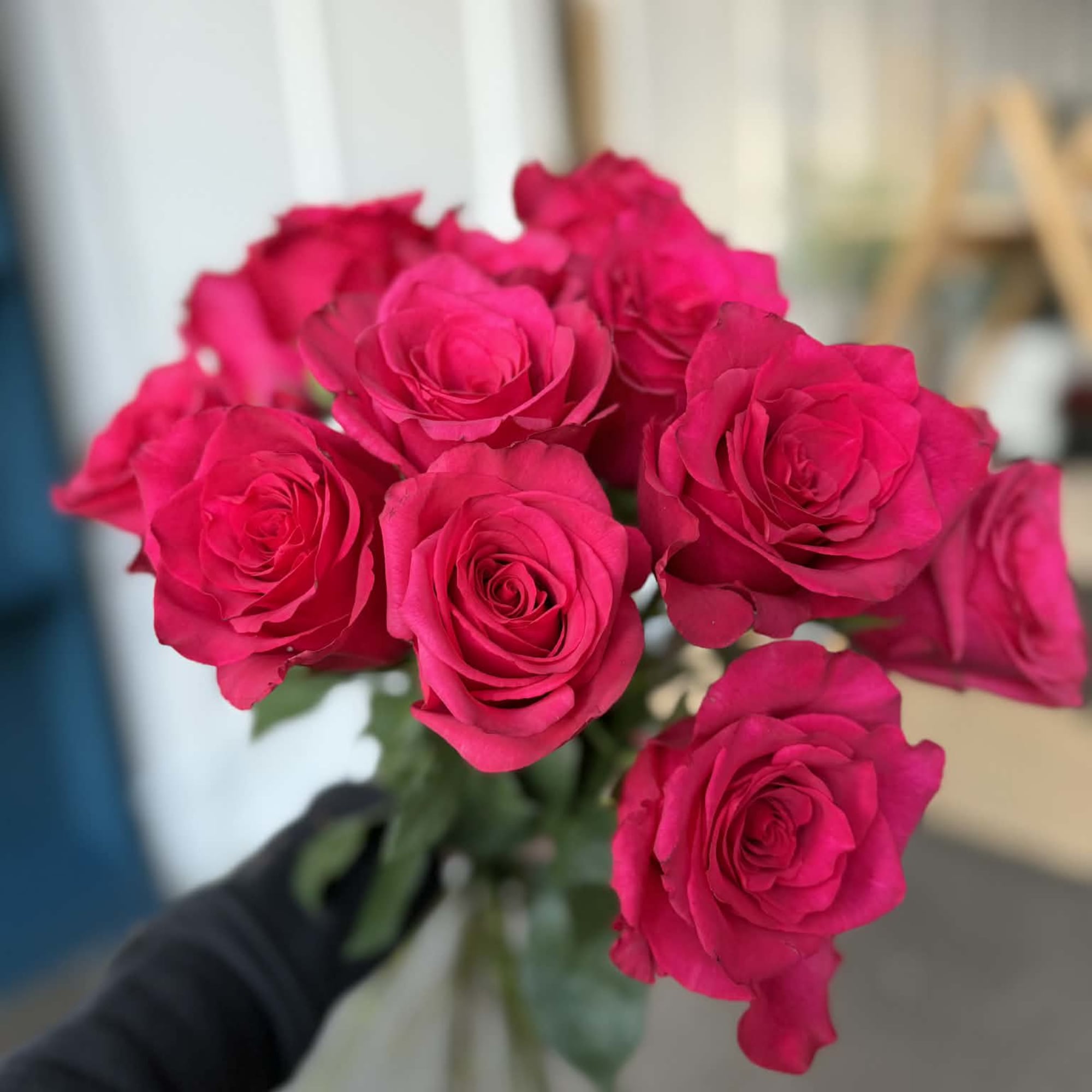 Vibrant, joyful, and full of personality, our Hot Pink Explorer Roses are