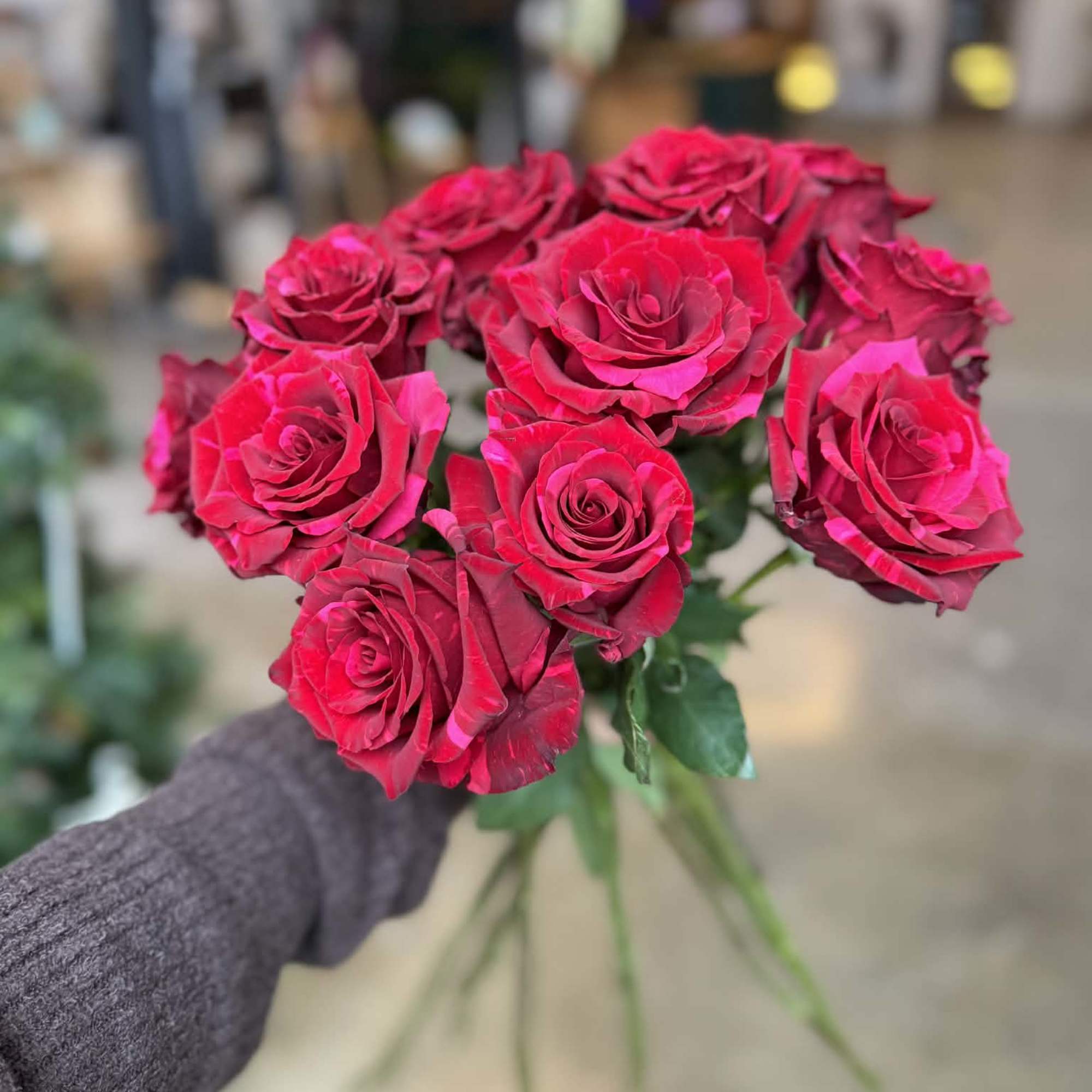Bold, romantic, and timeless, our Red Panther Roses offer a refined take