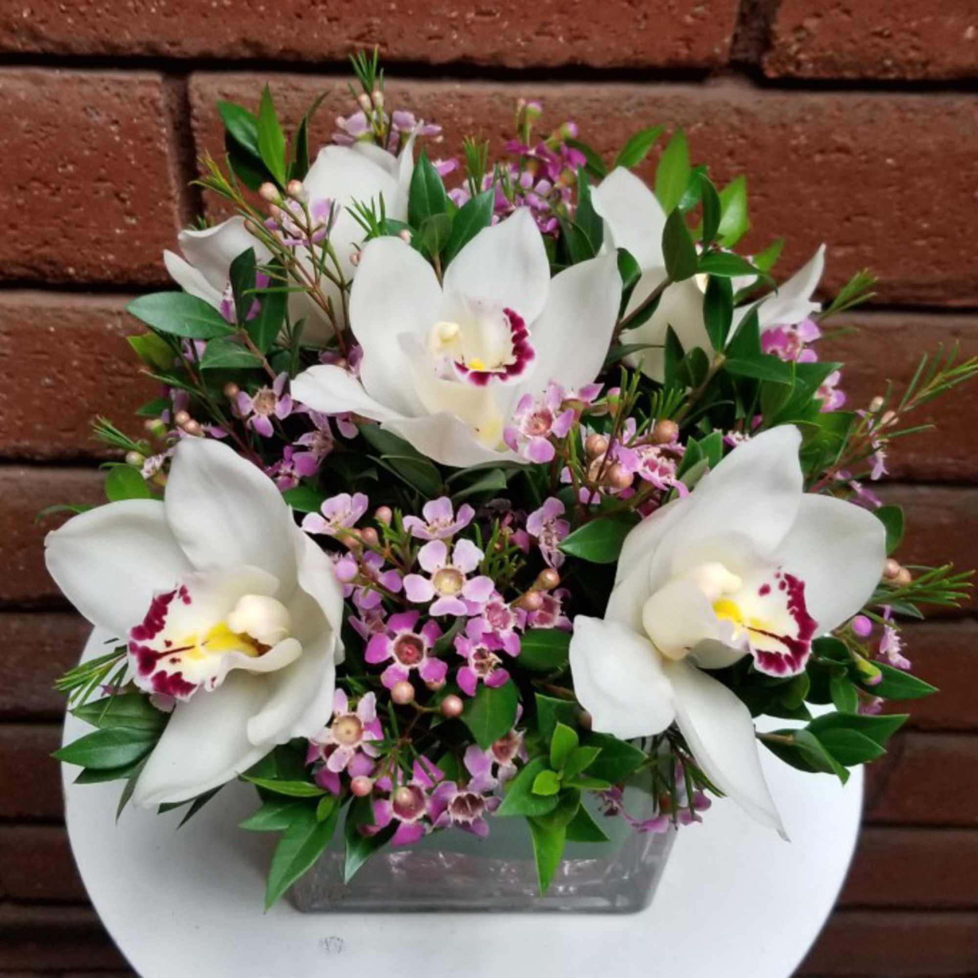Cymbidium Orchid Cube

For a gift that feels both luxurious and effortlessly elegant