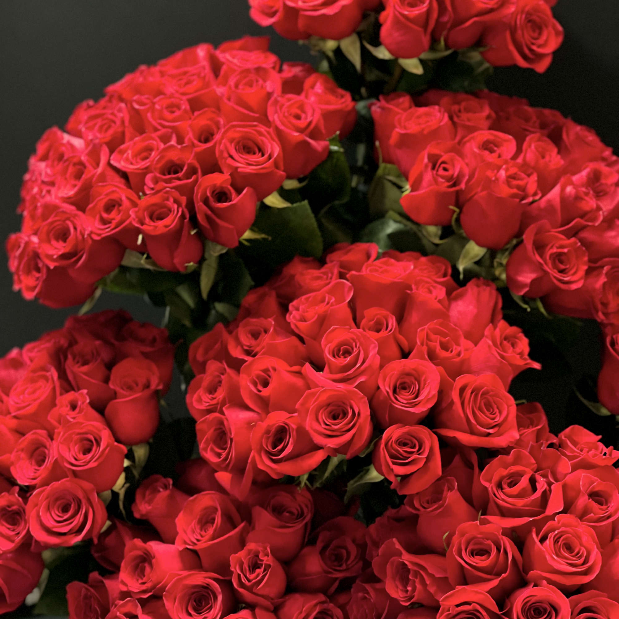 "Amor" Exclusive design with 200 roses arranged in cement tray with 3