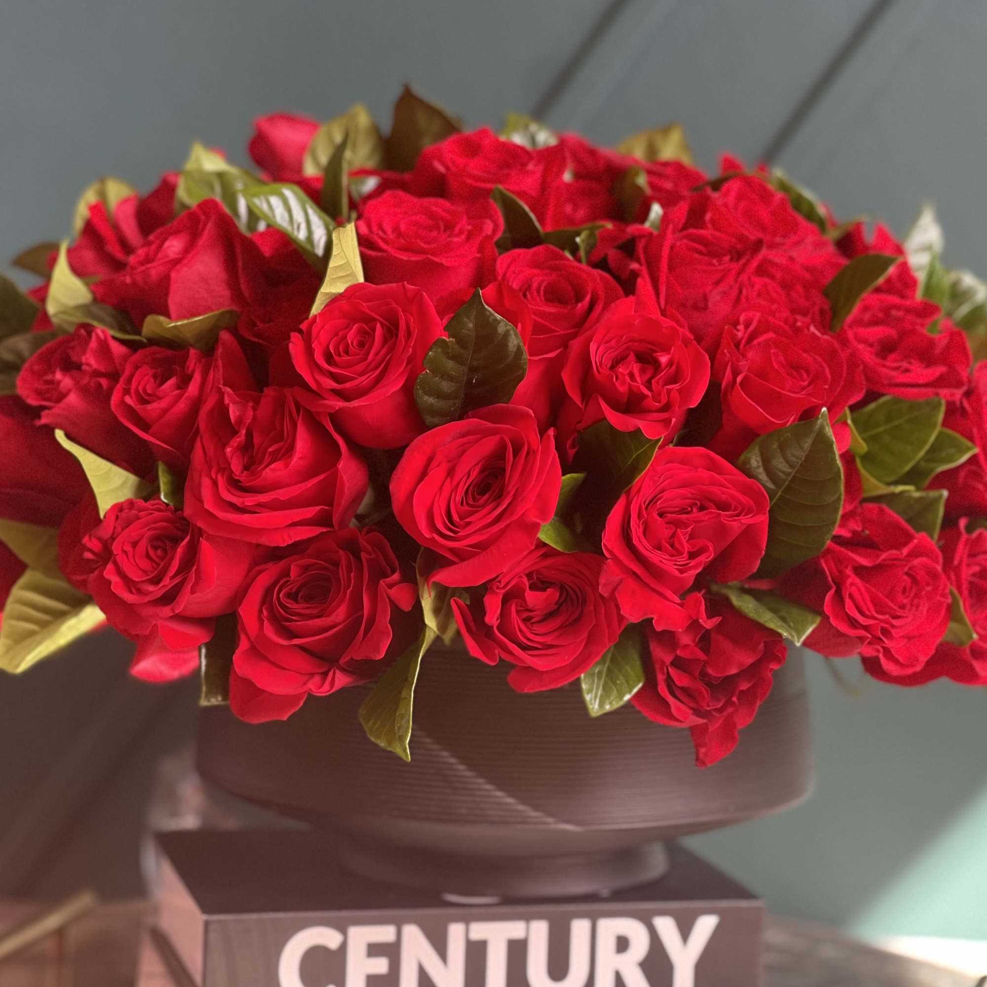 100 red roses in modern black vase 