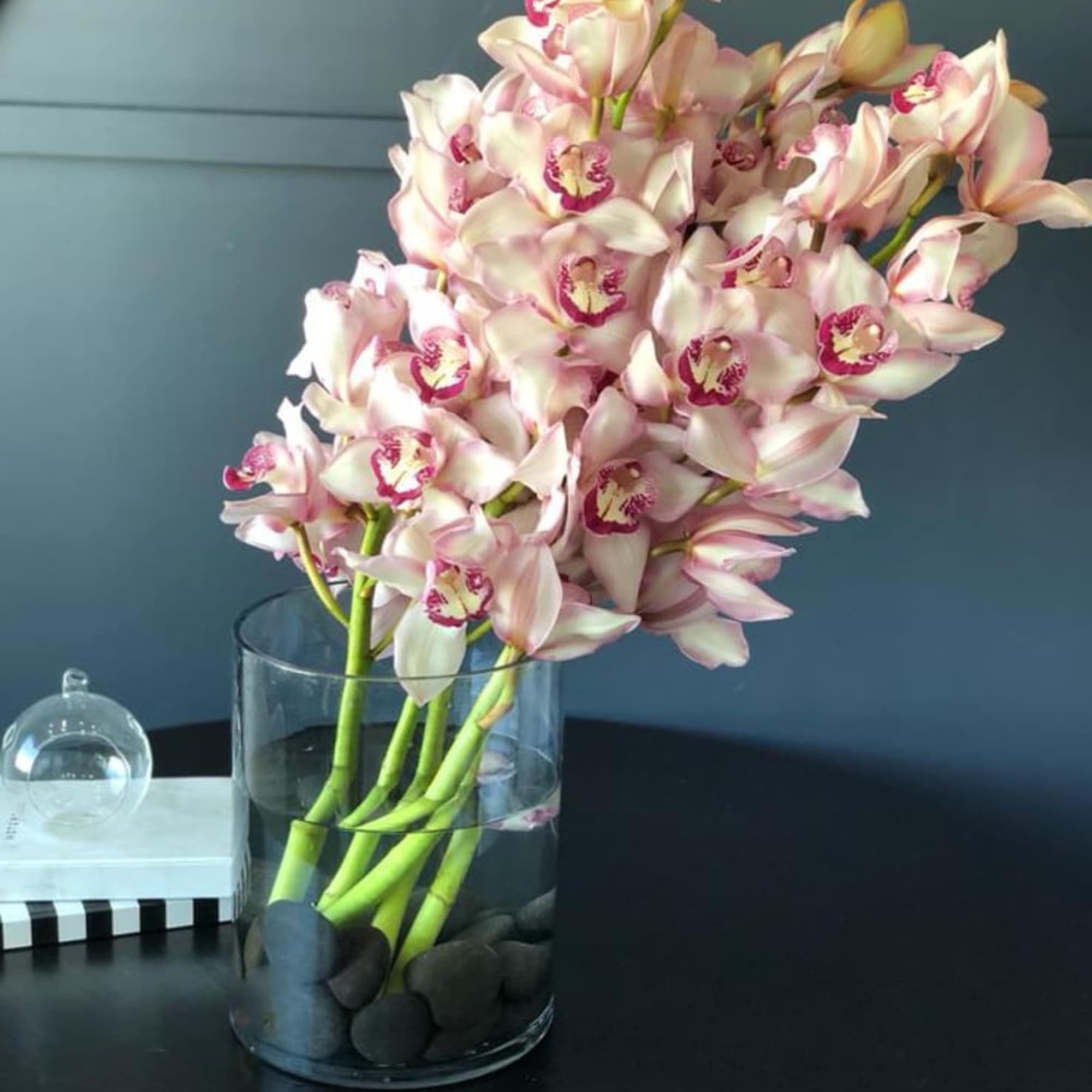 Modern Cymbidium Arrangement in a vase 
5 large stems with 8-10 blooms