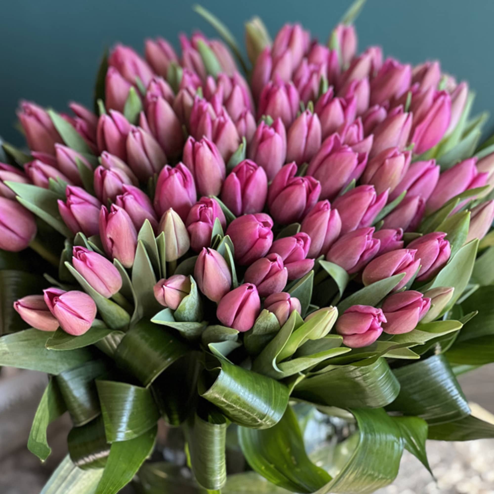 75 Pink tulips in fishbowl vase with aspidistra leaves