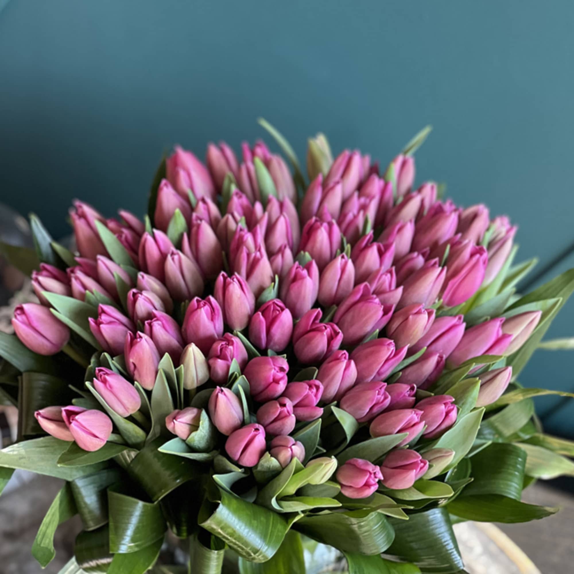 75 Pink tulips in fishbowl vase with aspidistra leaves