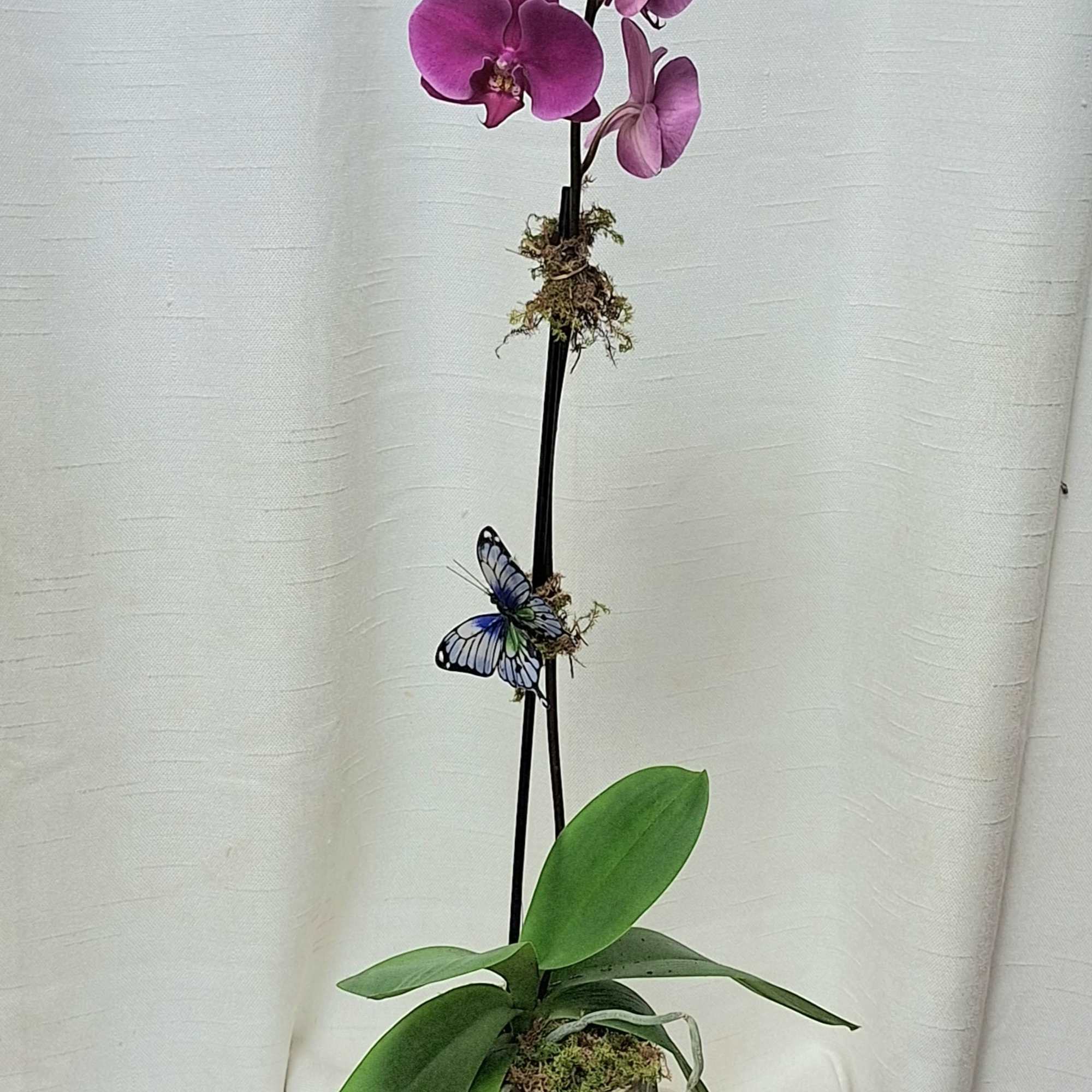 Transform your space with the timeless beauty and elegance of a white