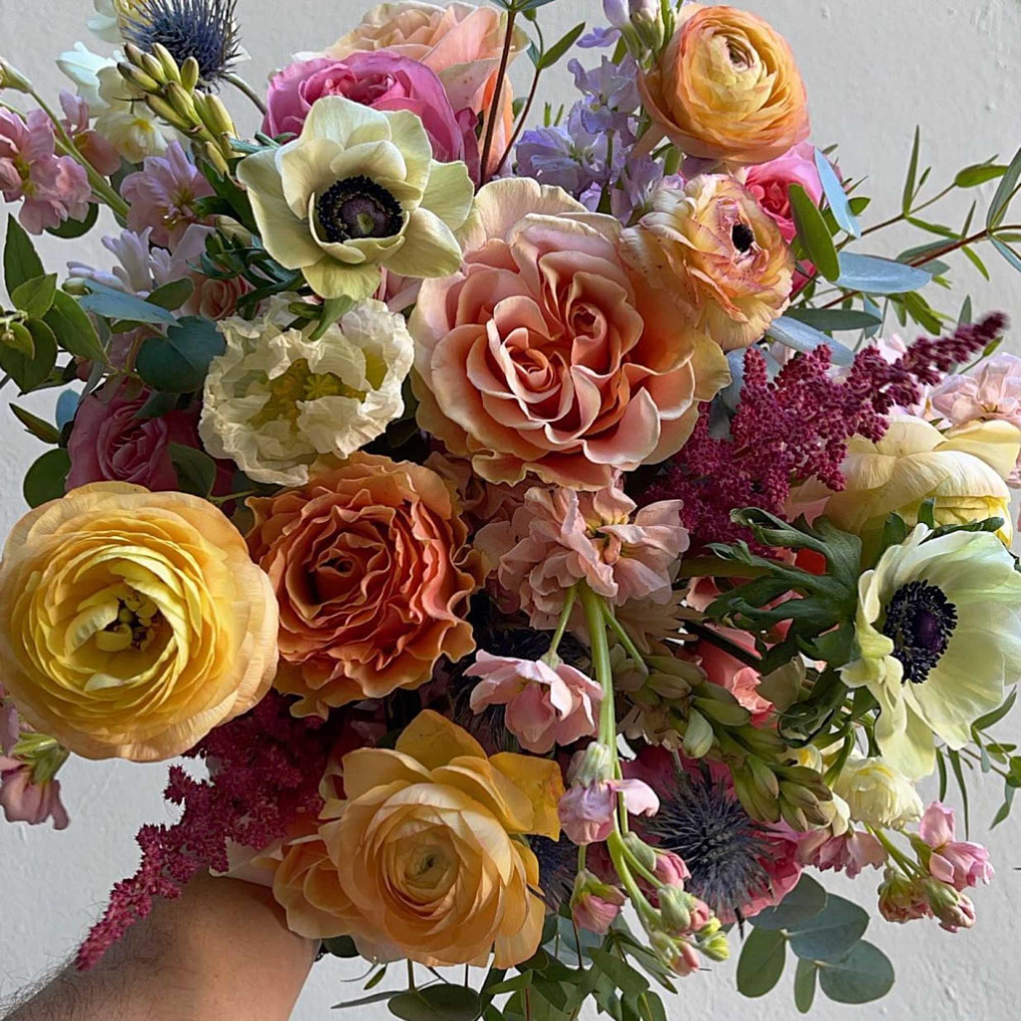 Getting ready for Spring has never been more exciting...