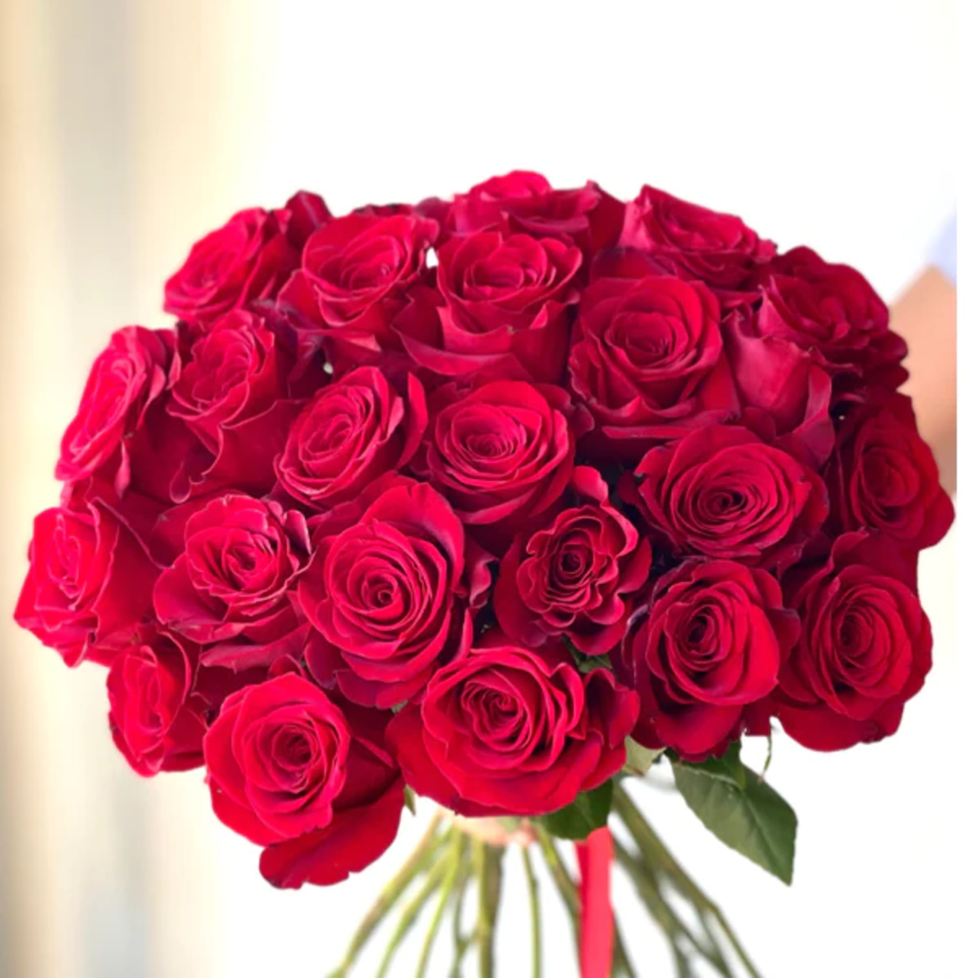 Simply put; Fresh Premium red roses arranged with the perfect spiral technique