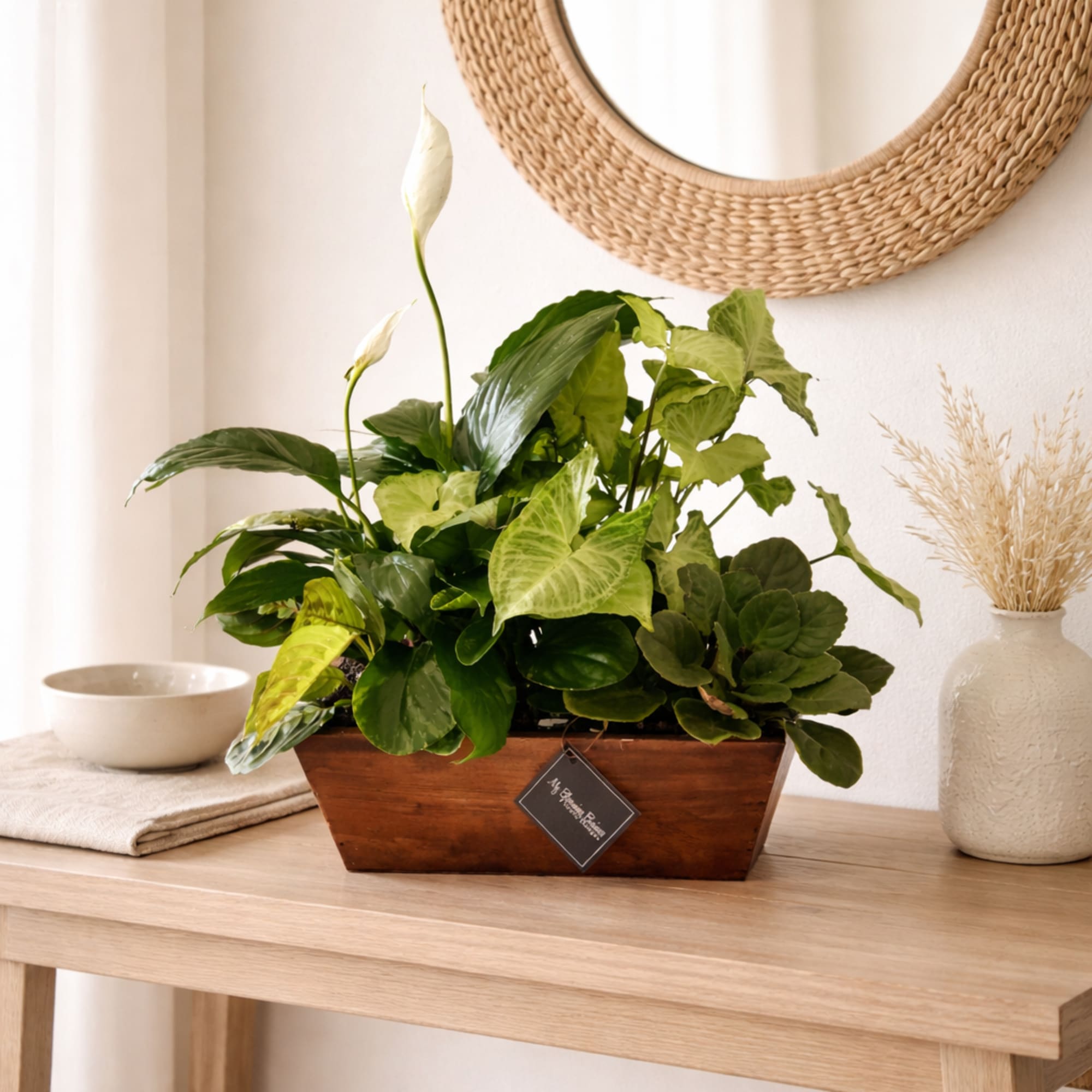 If you're looking for the perfect gift for your loved one, look