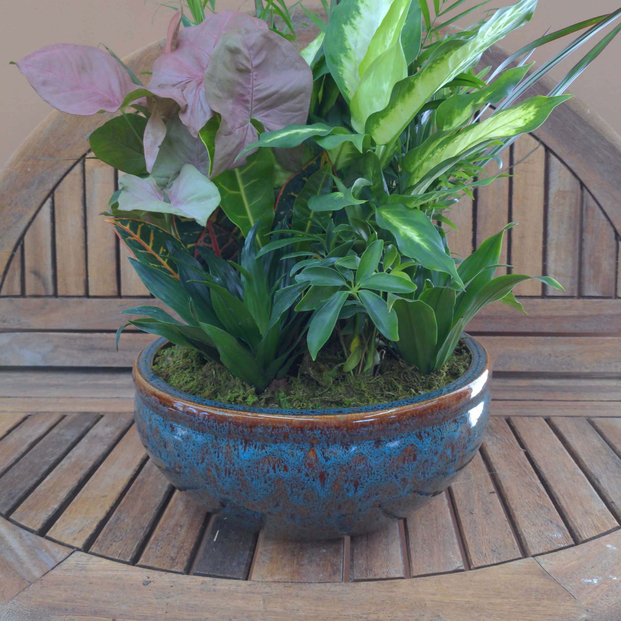 Mixed Green Plants In Ceramic Container 
Container And Plants Will Vary