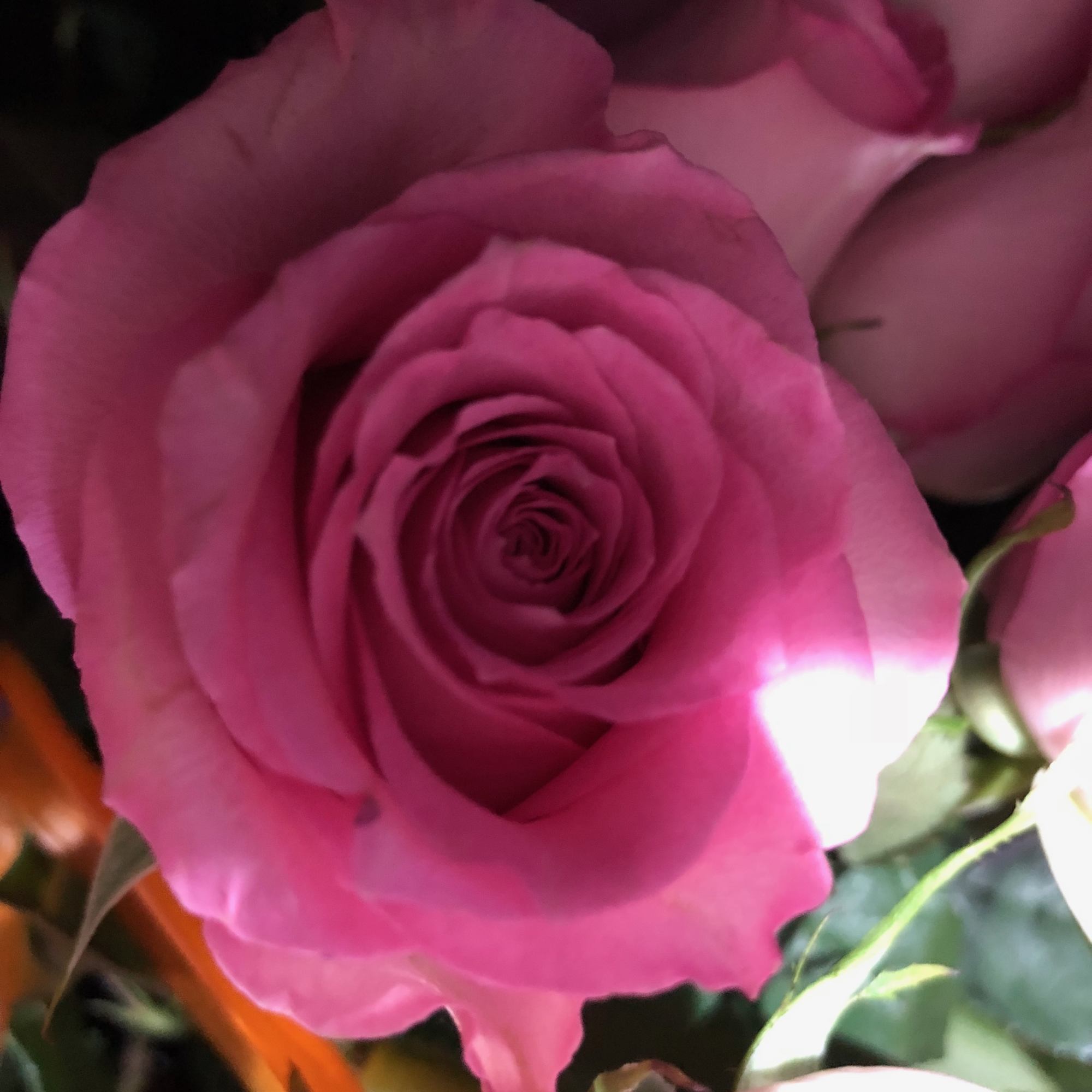 In Honor of National Breast Cancer Awareness month, we offer one dozen