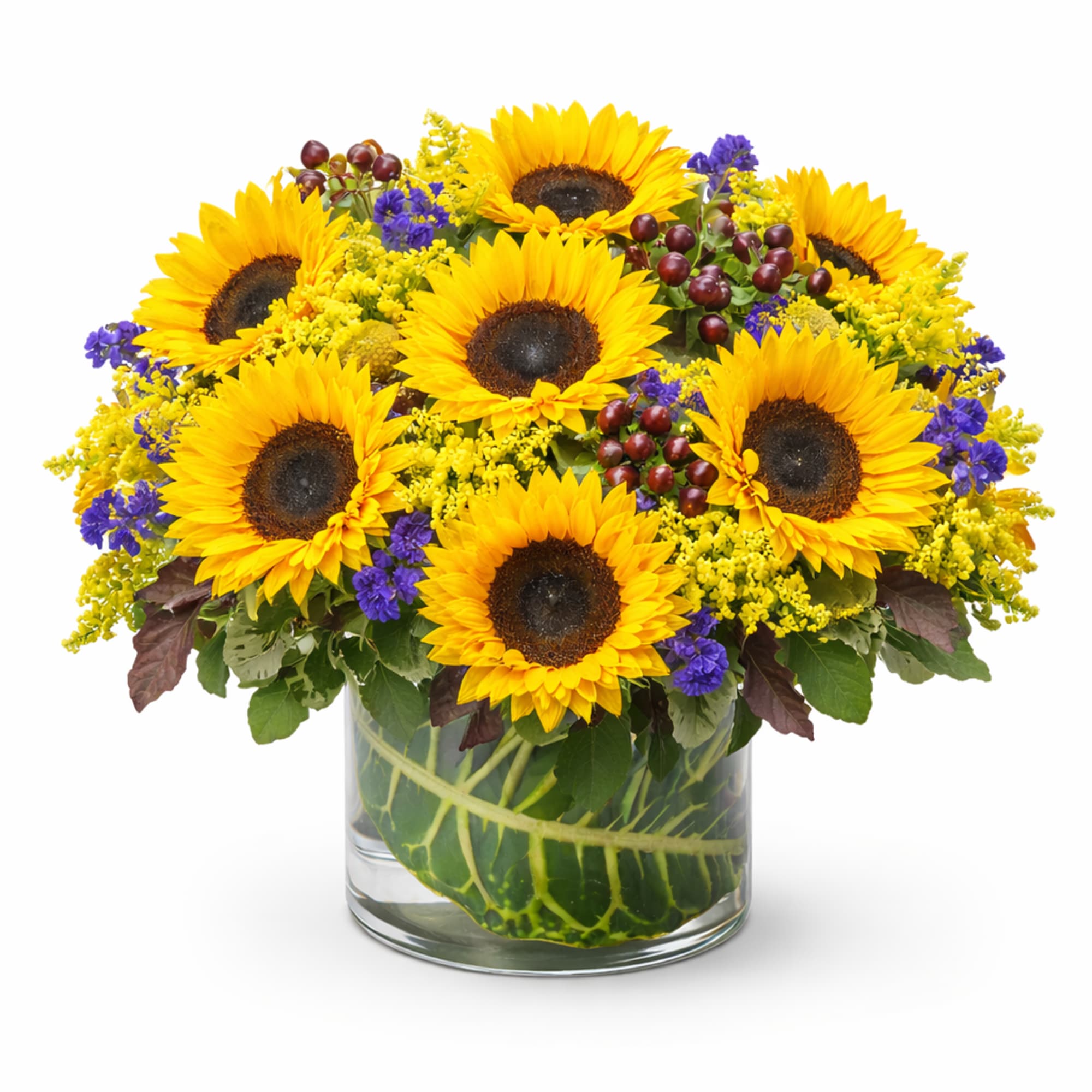 Introducing our charming Sunny Sunflowers arrangement! This delightful bouquet features sunny sunflowers