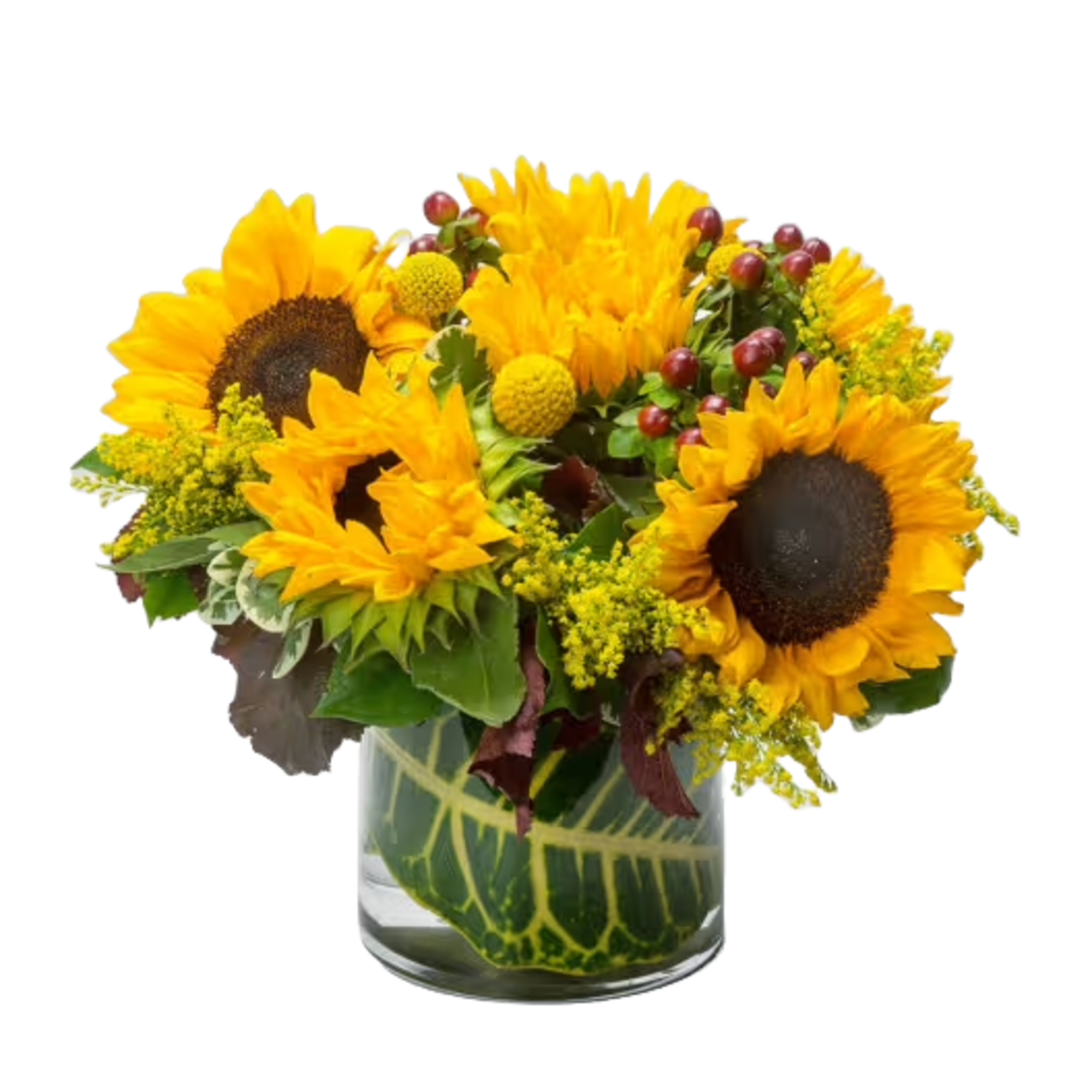 Introducing our charming Sunny Sunflowers arrangement! This delightful bouquet features sunny sunflowers