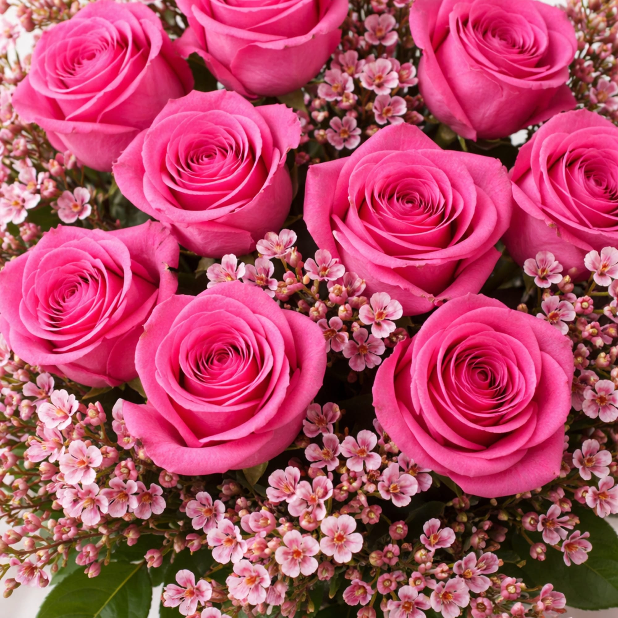 As Roses are often associated with love and Valentine's Day, this year's