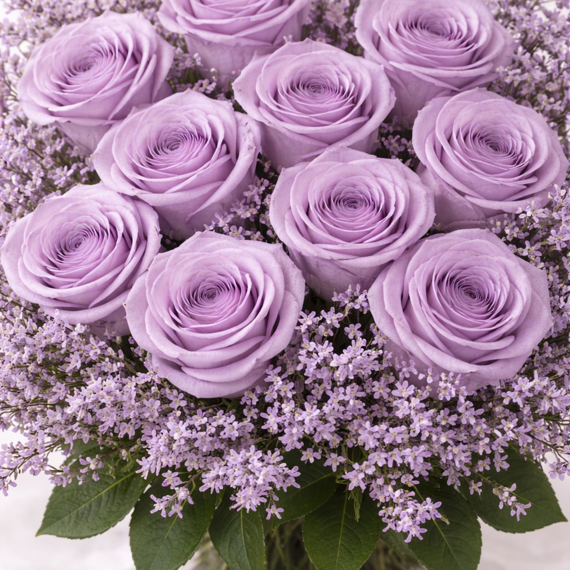 As Roses are often associated with love and Valentine's Day, this year's