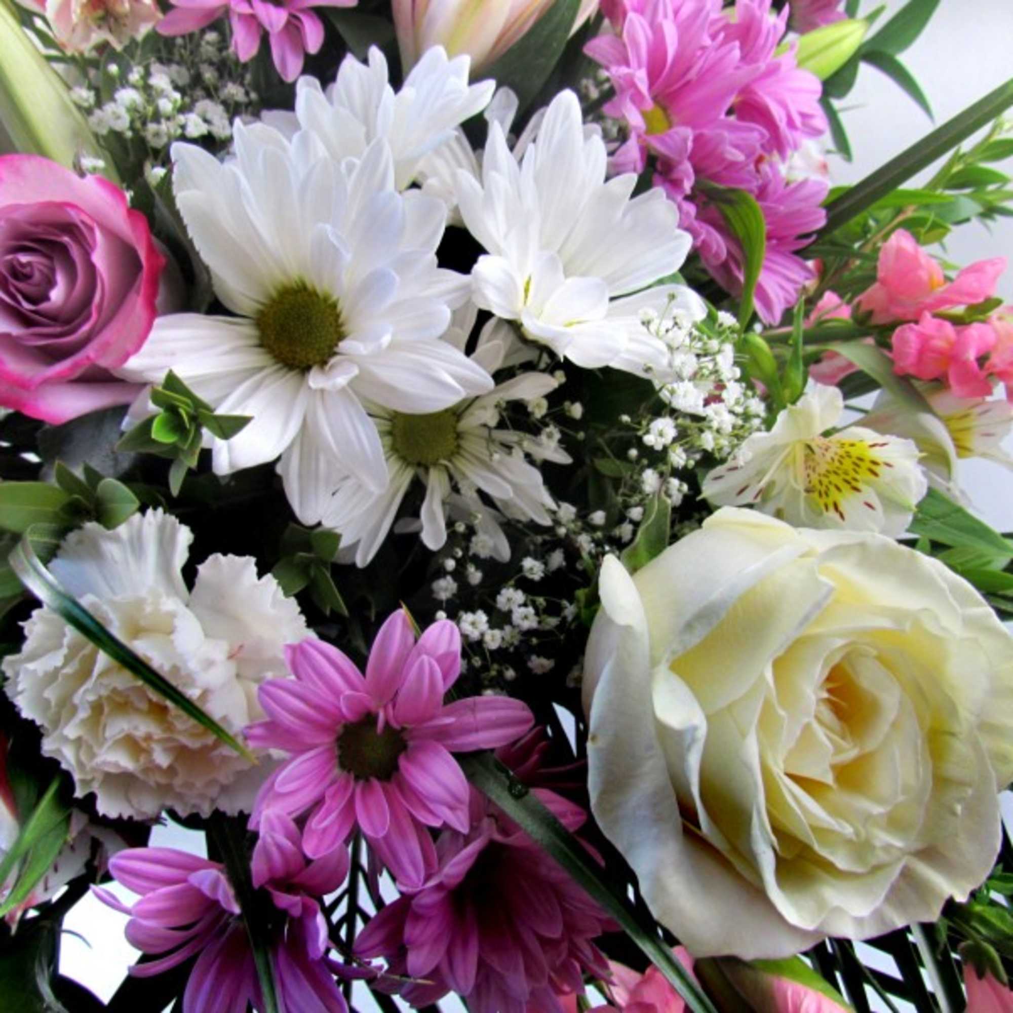 Pink, lavender, cream and white flowers are hand-arranged along with airy greens