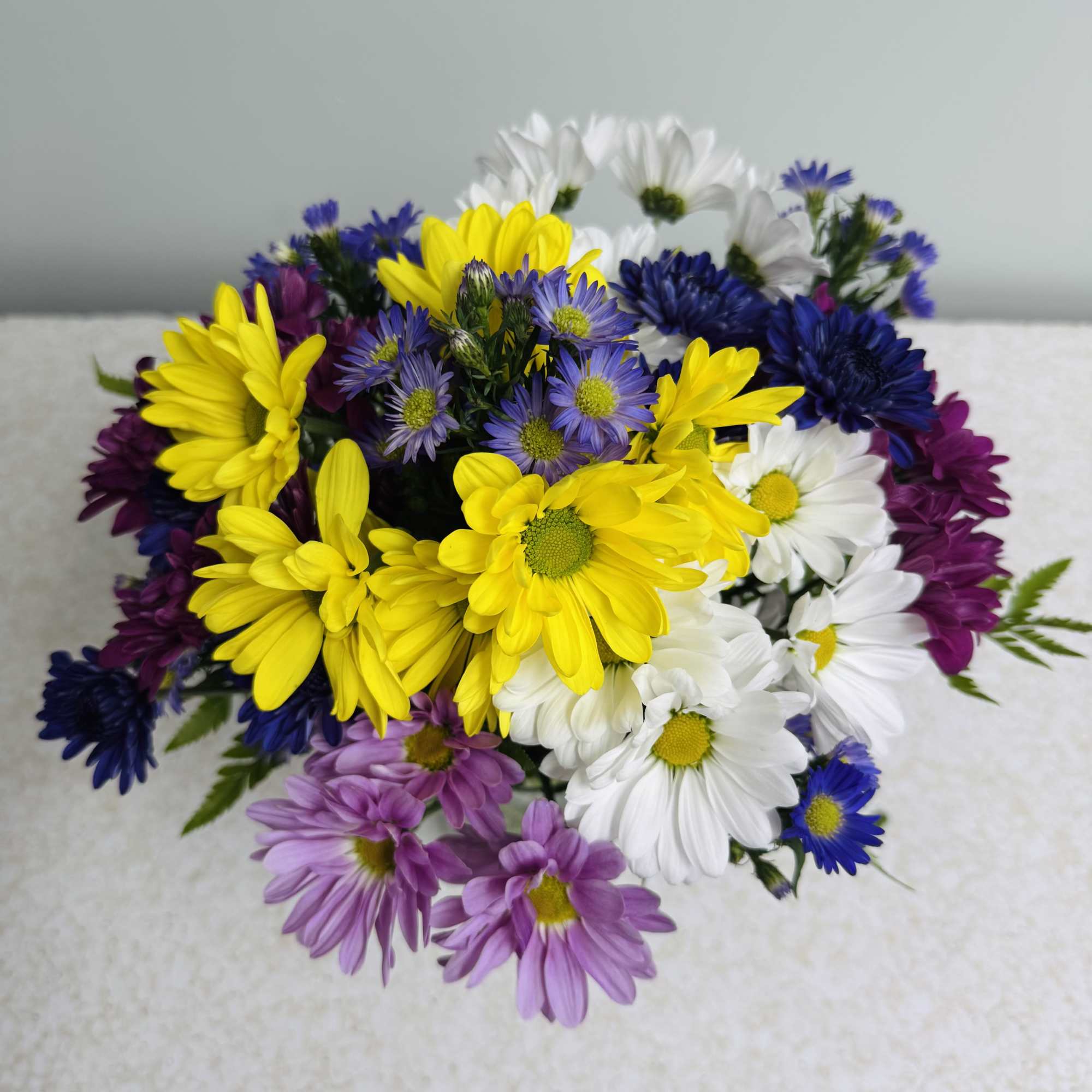 A cheerful mix of colored daisies, accented with monte. Perfect for a