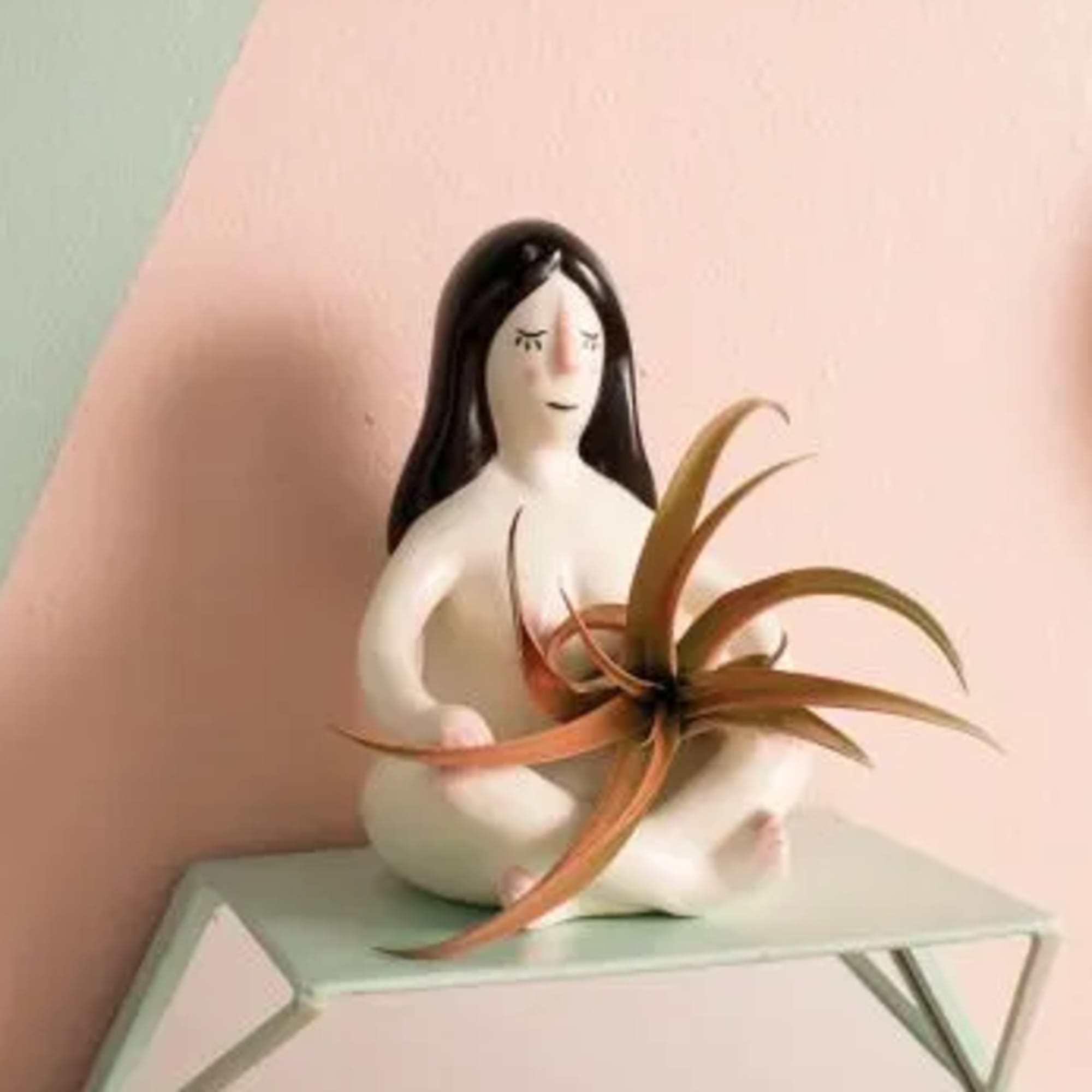 Air plant included 
Material: Ceramic
Dimensions: 3.5" x 5.5"