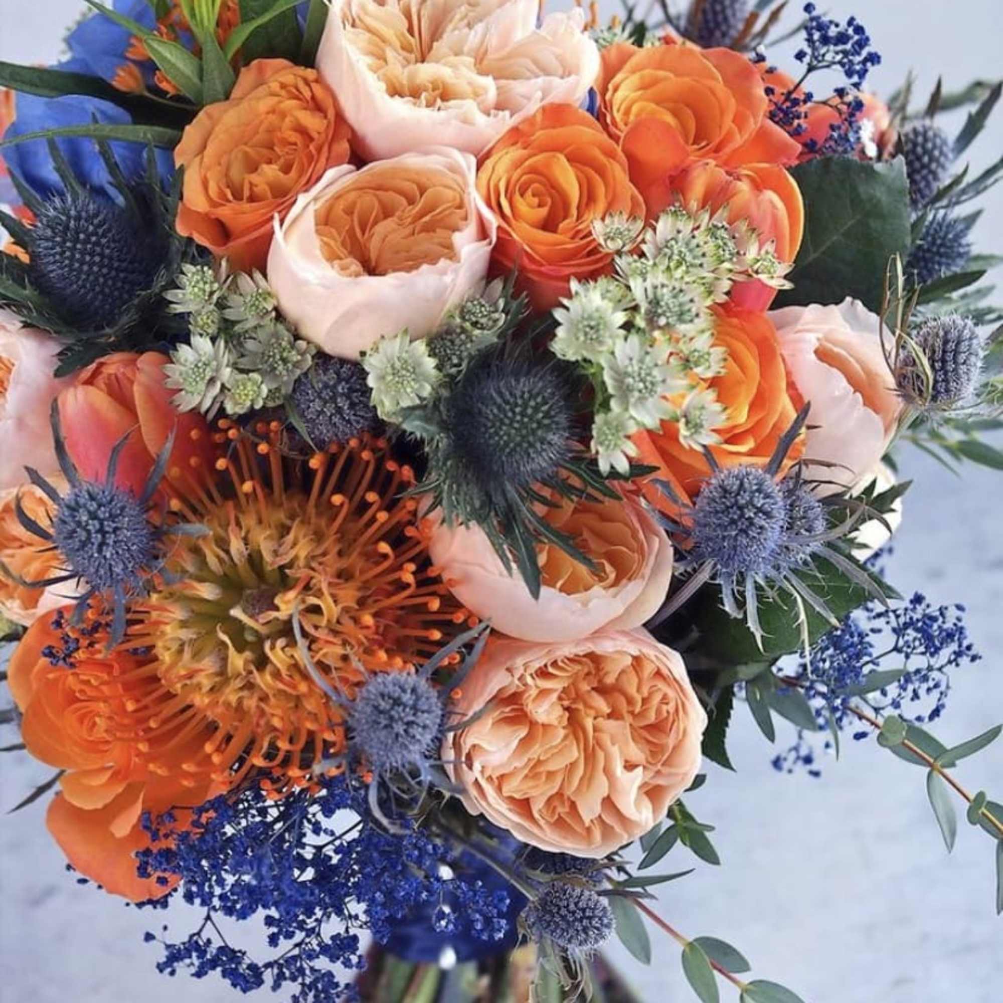 I Have an Orange Crush on You Is chock full of premium