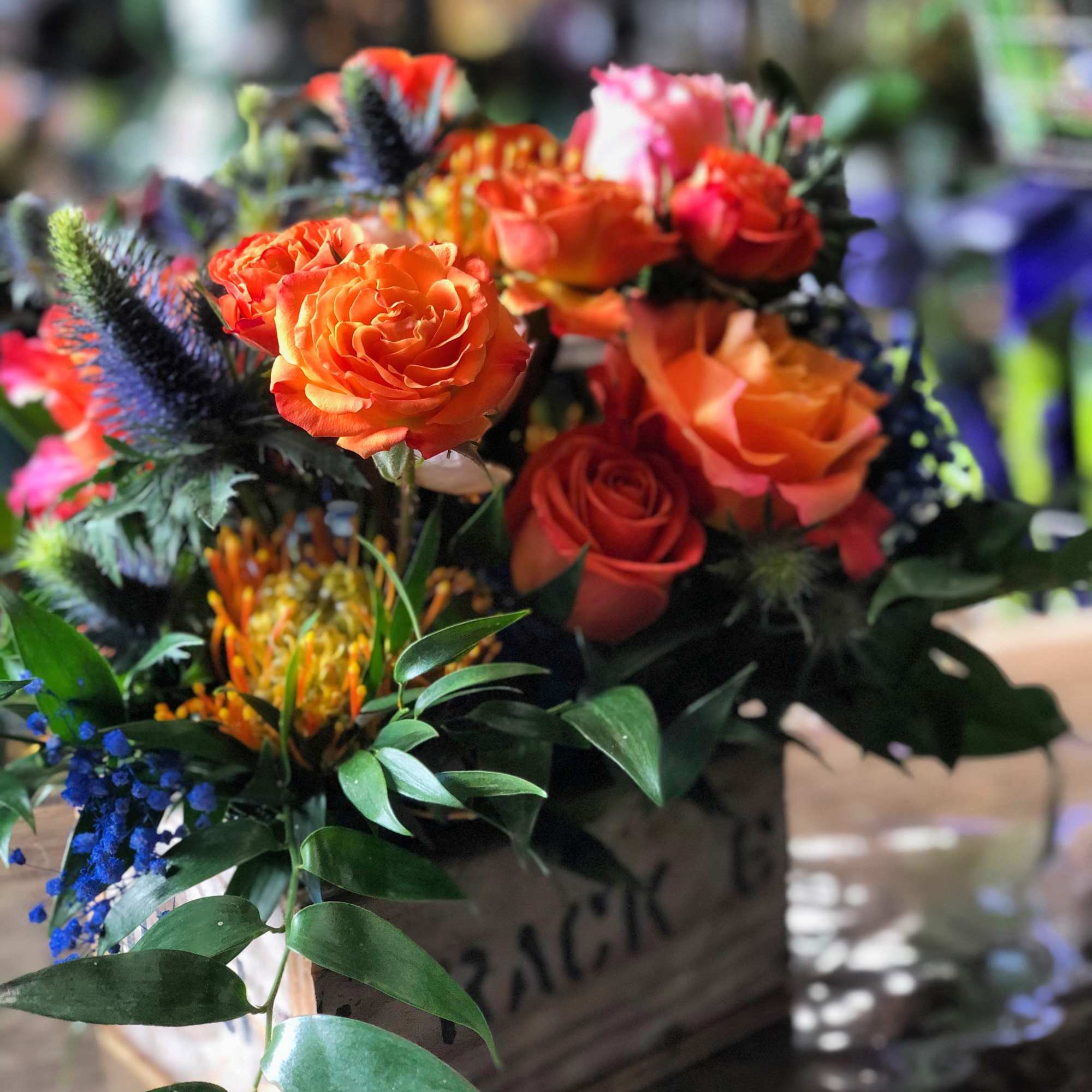 I Have an Orange Crush on You Is chock full of premium