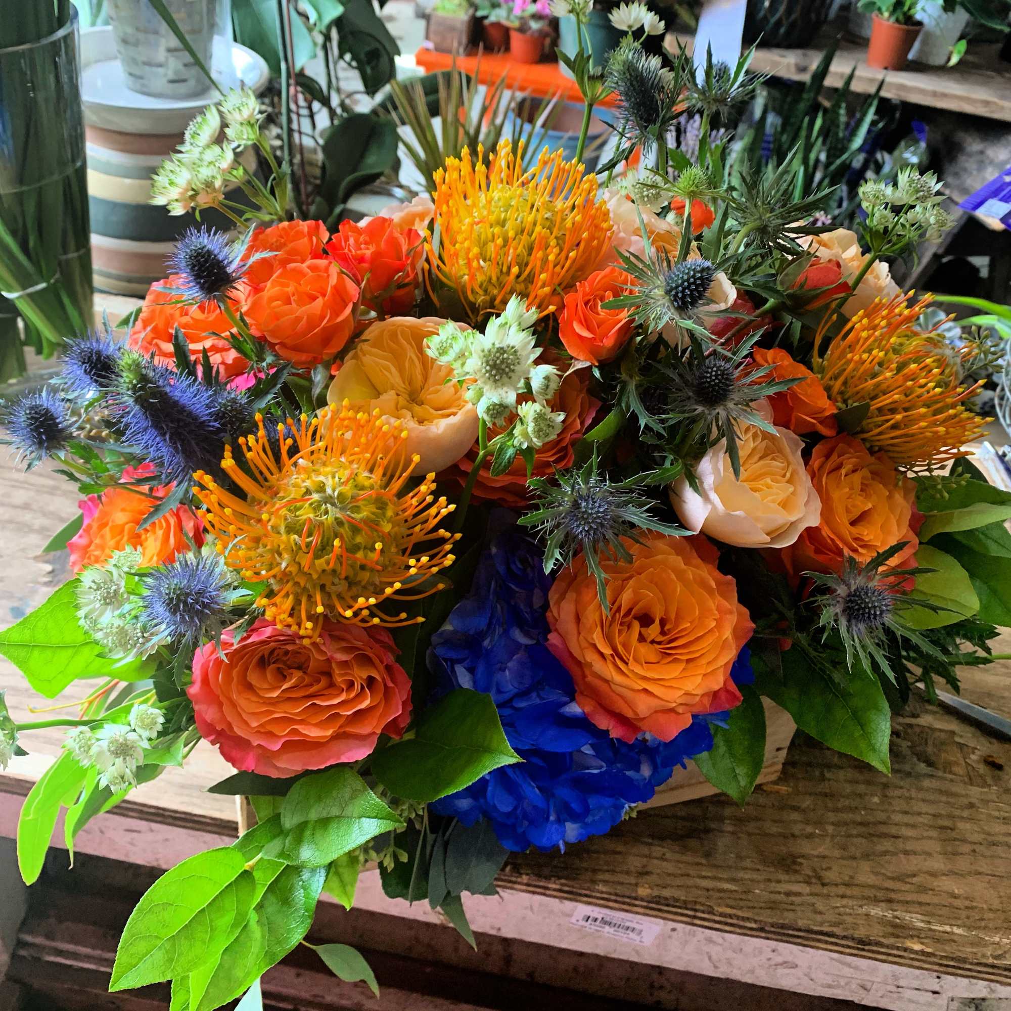 I Have an Orange Crush on You Is chock full of premium