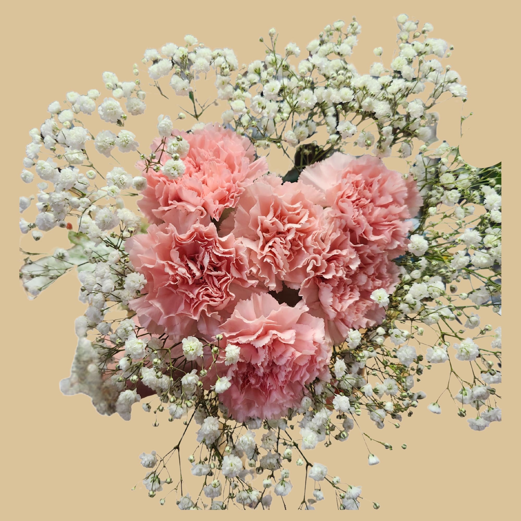 Soft, romantic, and effortlessly elegant, the Blushing Whisper Bouquet features delicate carnations