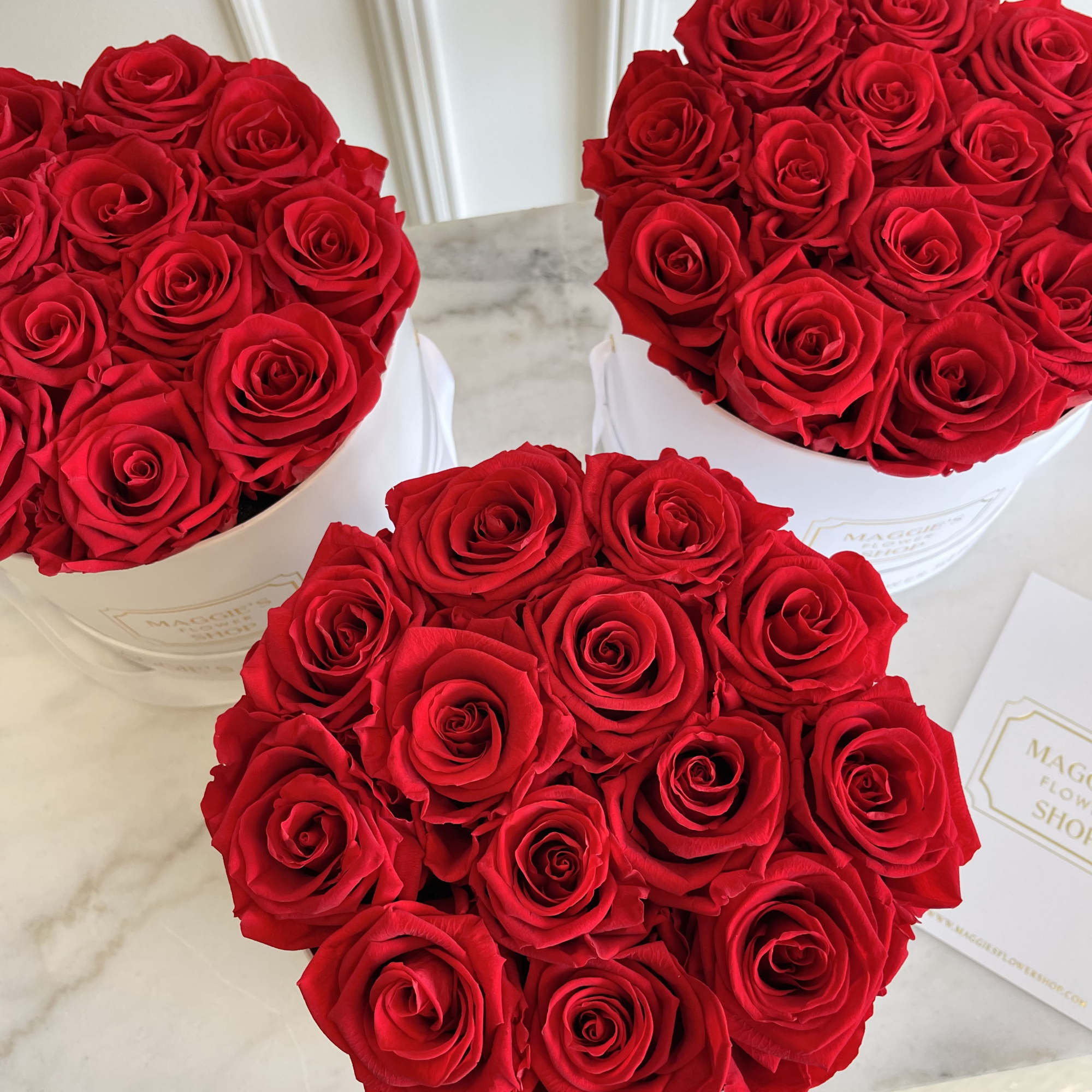 MFS Eternity Roses 

Real roses that can last up to 3 years.