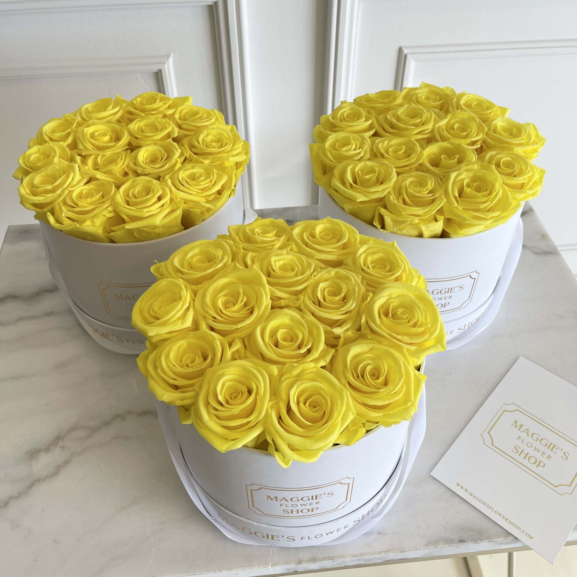 MFS Eternity Roses 
 
Mini box has approx 12 roses

*Eternity roses are
