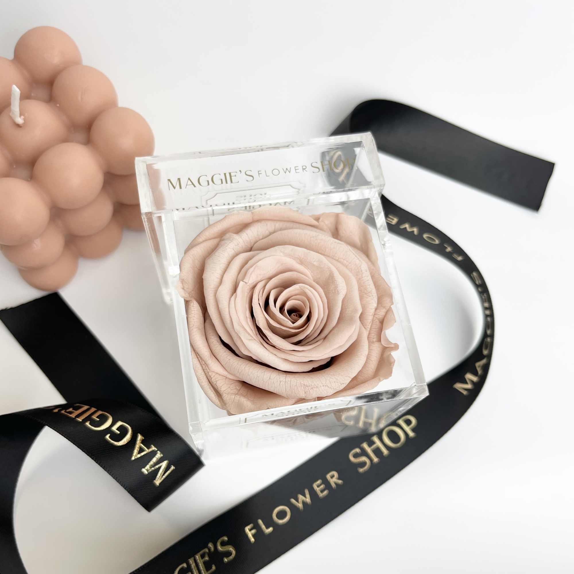 MFS Scented Eternity Rose new Nude Latte color in luxury acrylic box.