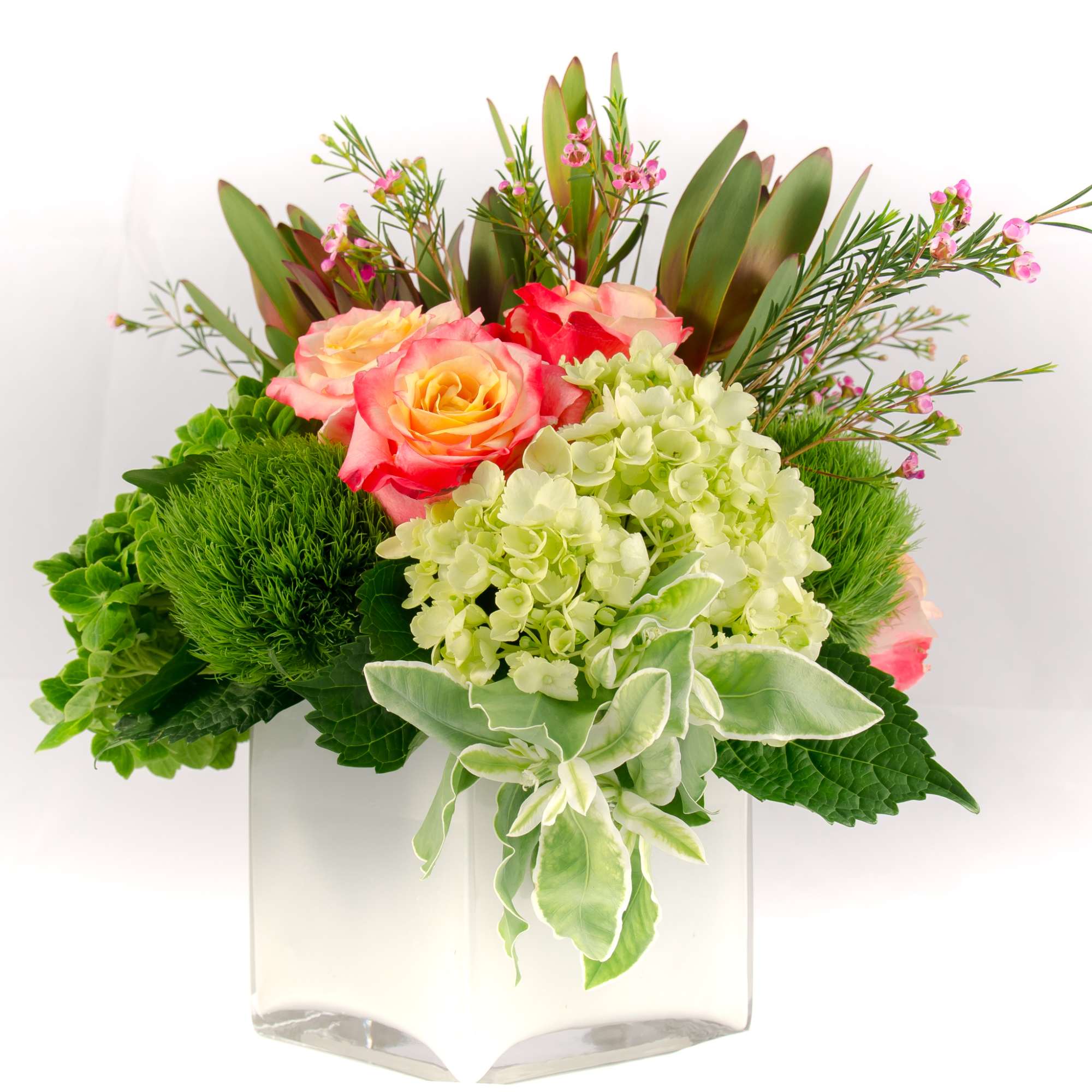 Bright and colorful arrangement, low compact design in white cubed vase. Cheer