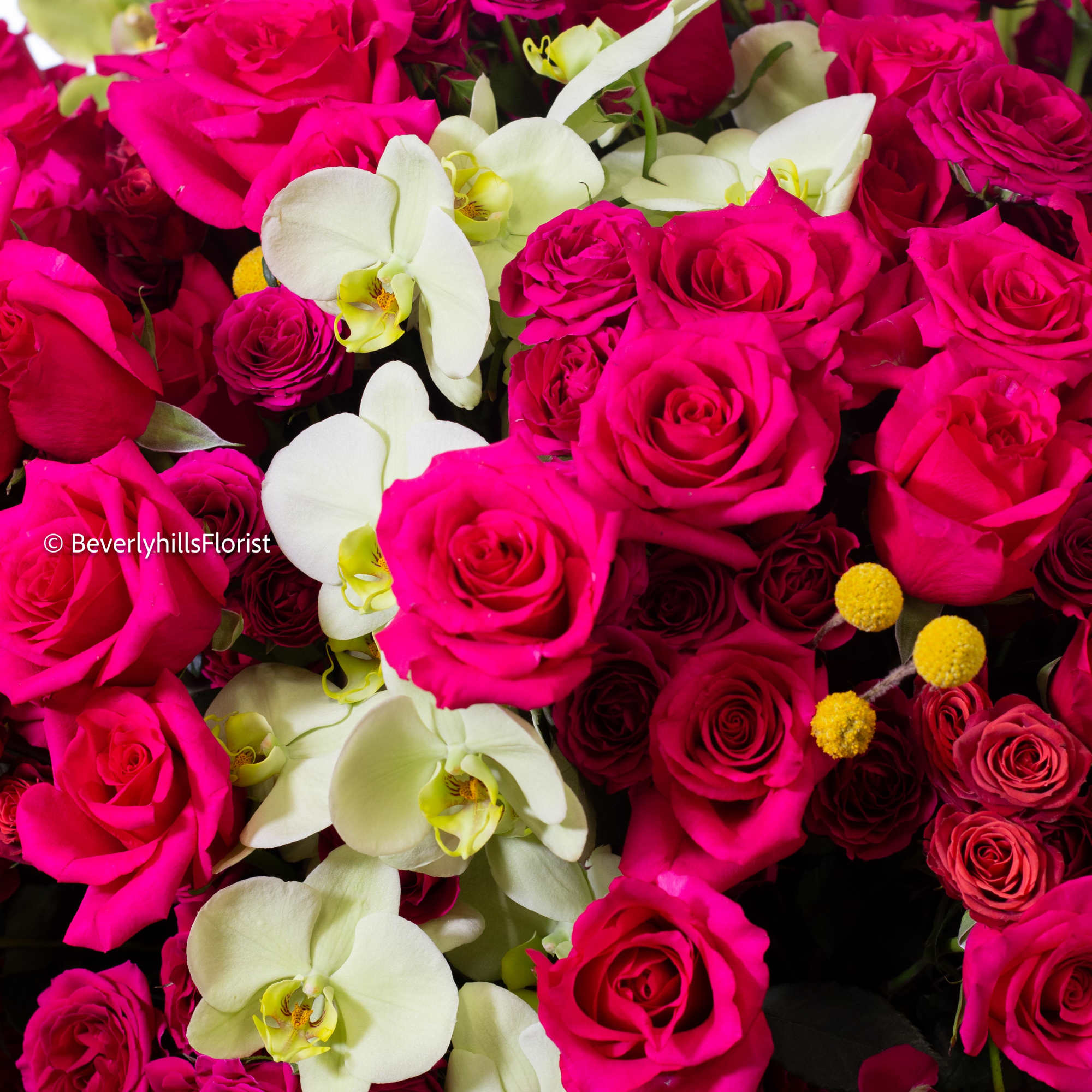 Overflowing with passion and tenderness, this bouquet of romantic roses captivates with