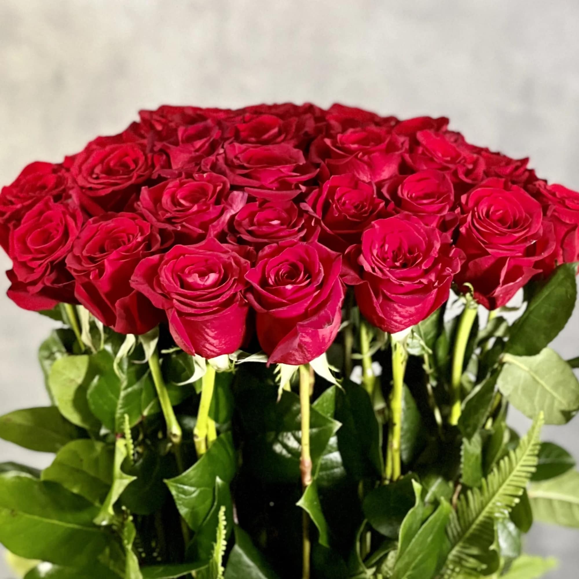 Dozens of Long Stem Red roses accompanied with Tropical Imported Orchids and