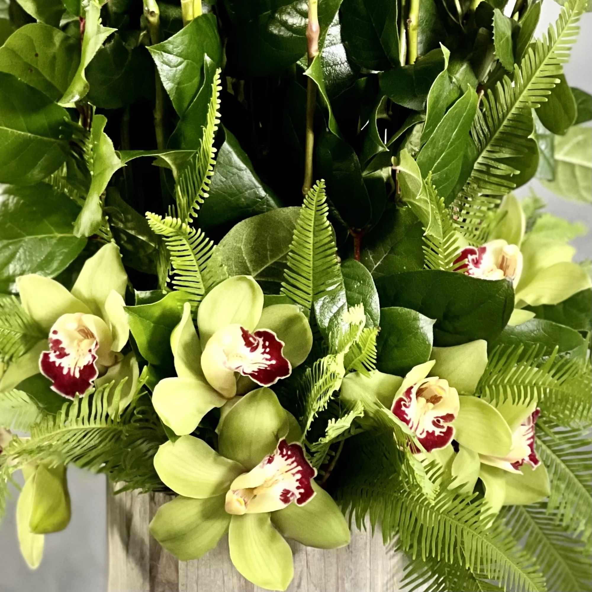 Dozens of Long Stem Red roses accompanied with Tropical Imported Orchids and