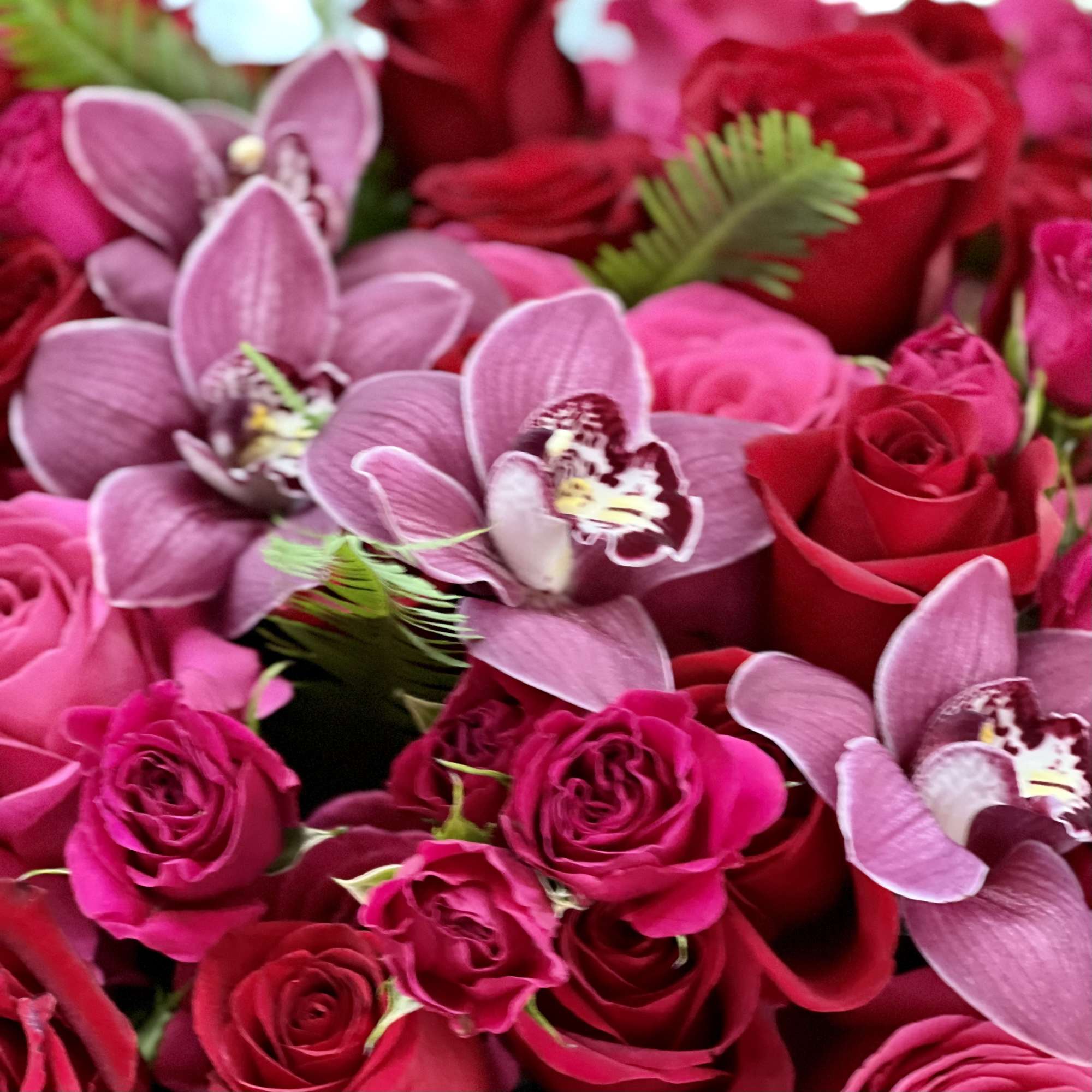 A ravishing piece that is a classic look. Red  and pinks