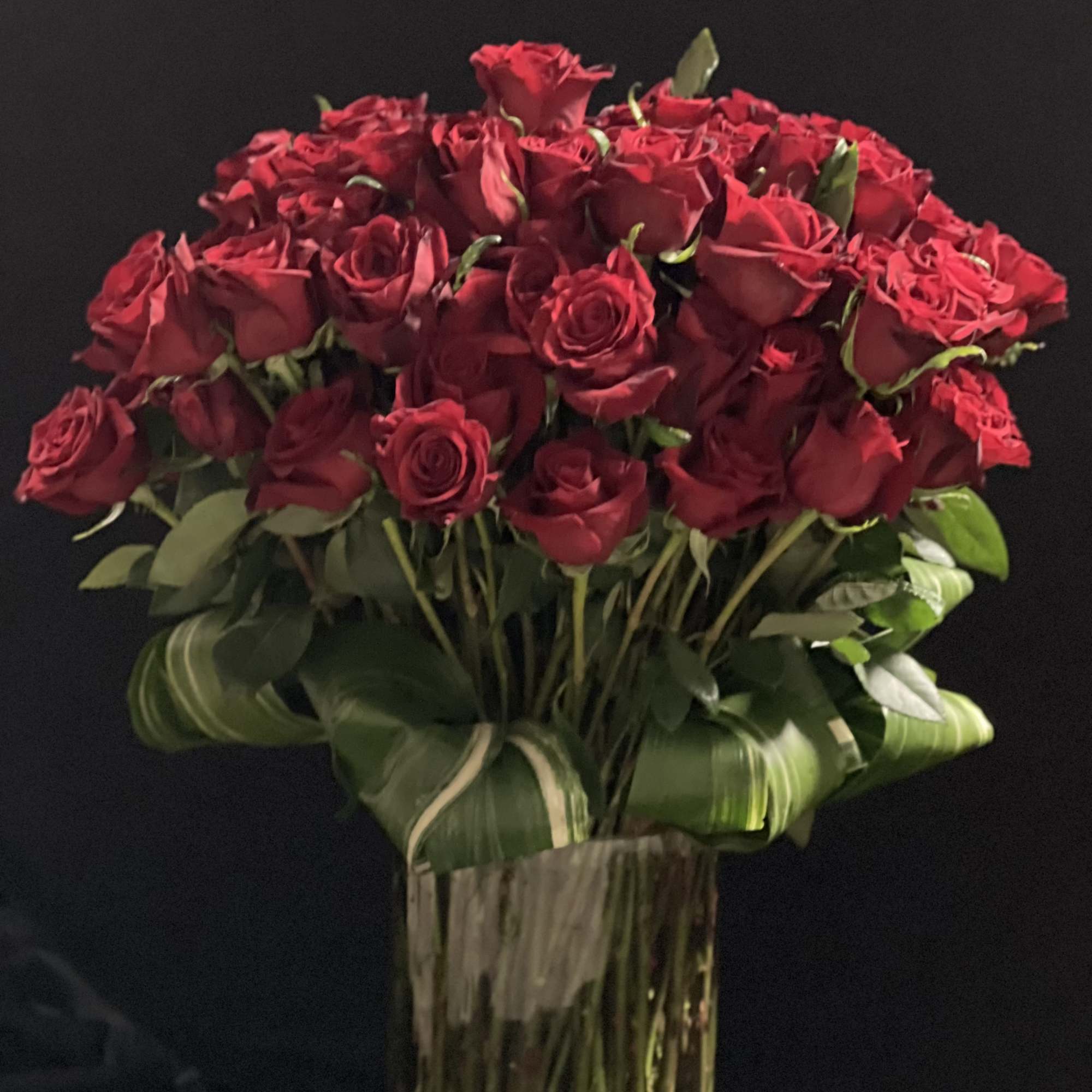 100 Long longest stem red roses! Roses are 32 inches tall&hellip;plus vase.