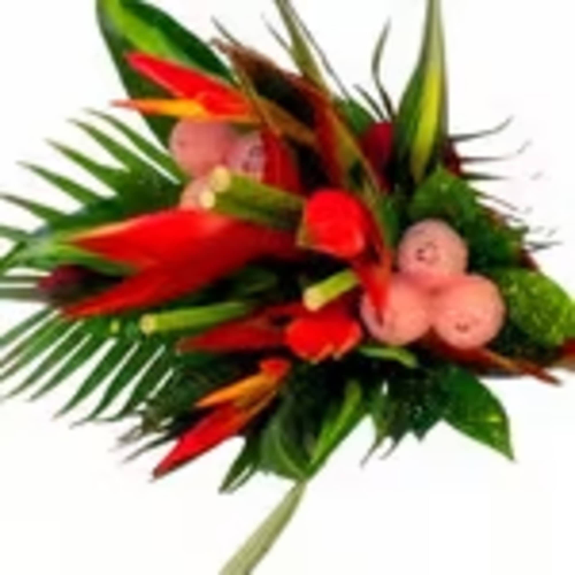 Tropical Explosion is a bold mix of premium tropical flowers designed to