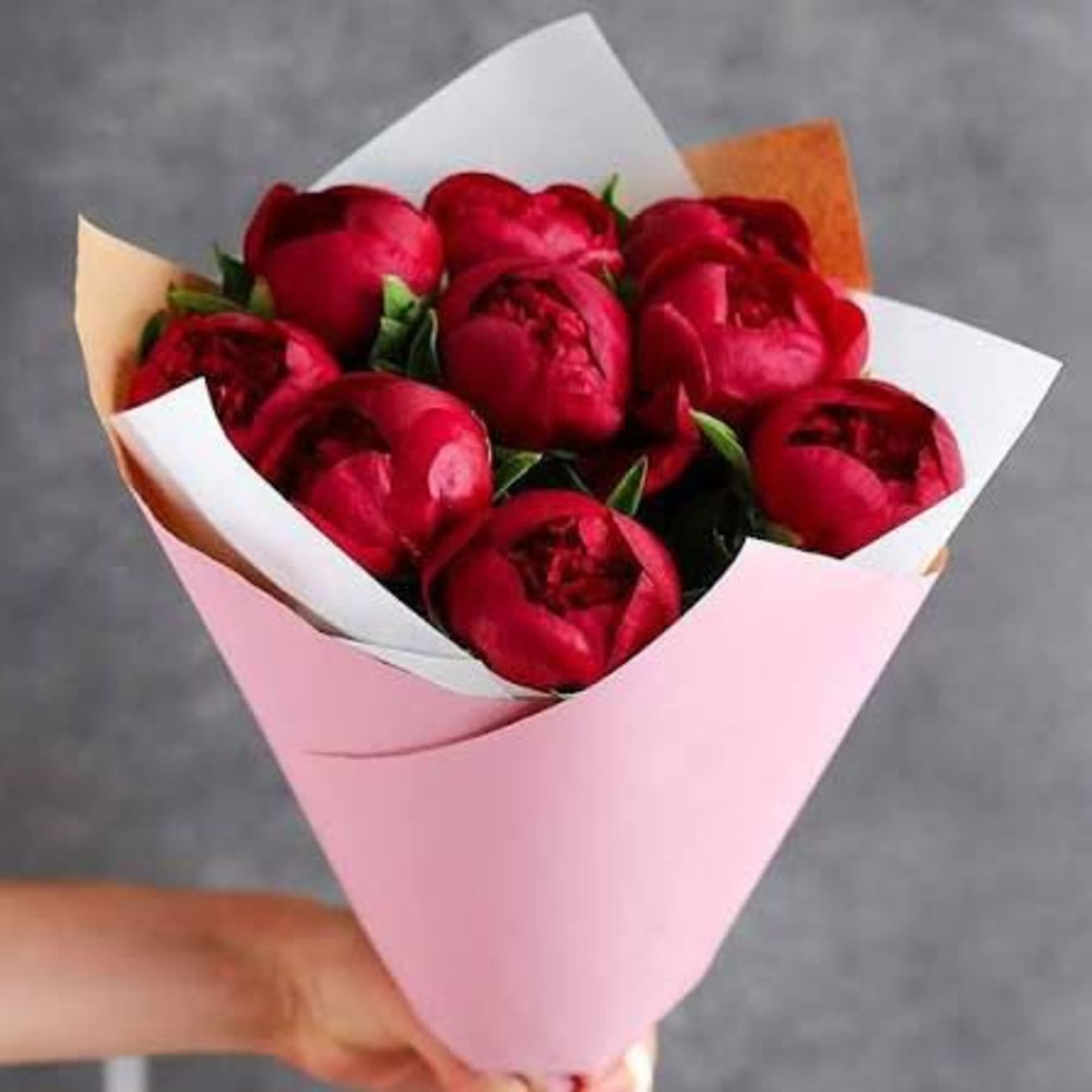 Lush, velvety blooms in deep wine-red tones. Bold, romantic, and undeniably luxurious