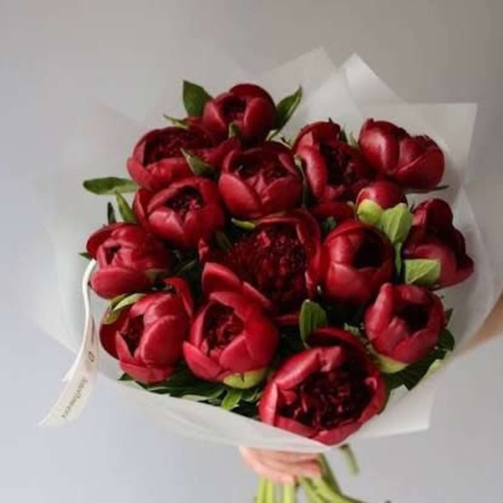 Lush, velvety blooms in deep wine-red tones. Bold, romantic, and undeniably luxurious