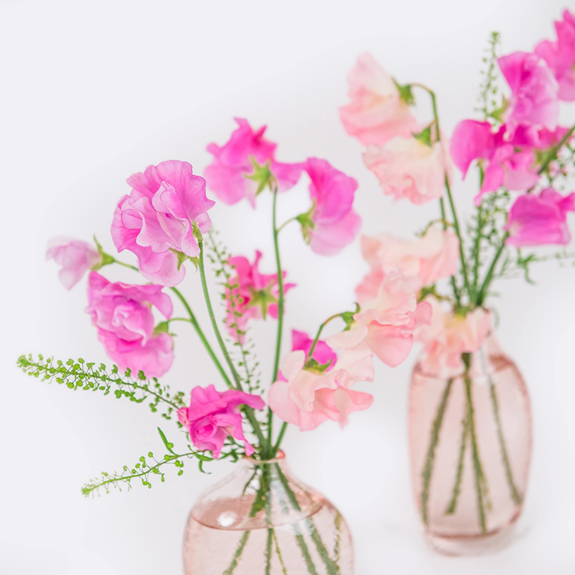The sweetest lil Valentine's Day Buds!  A set of gorgeous blush