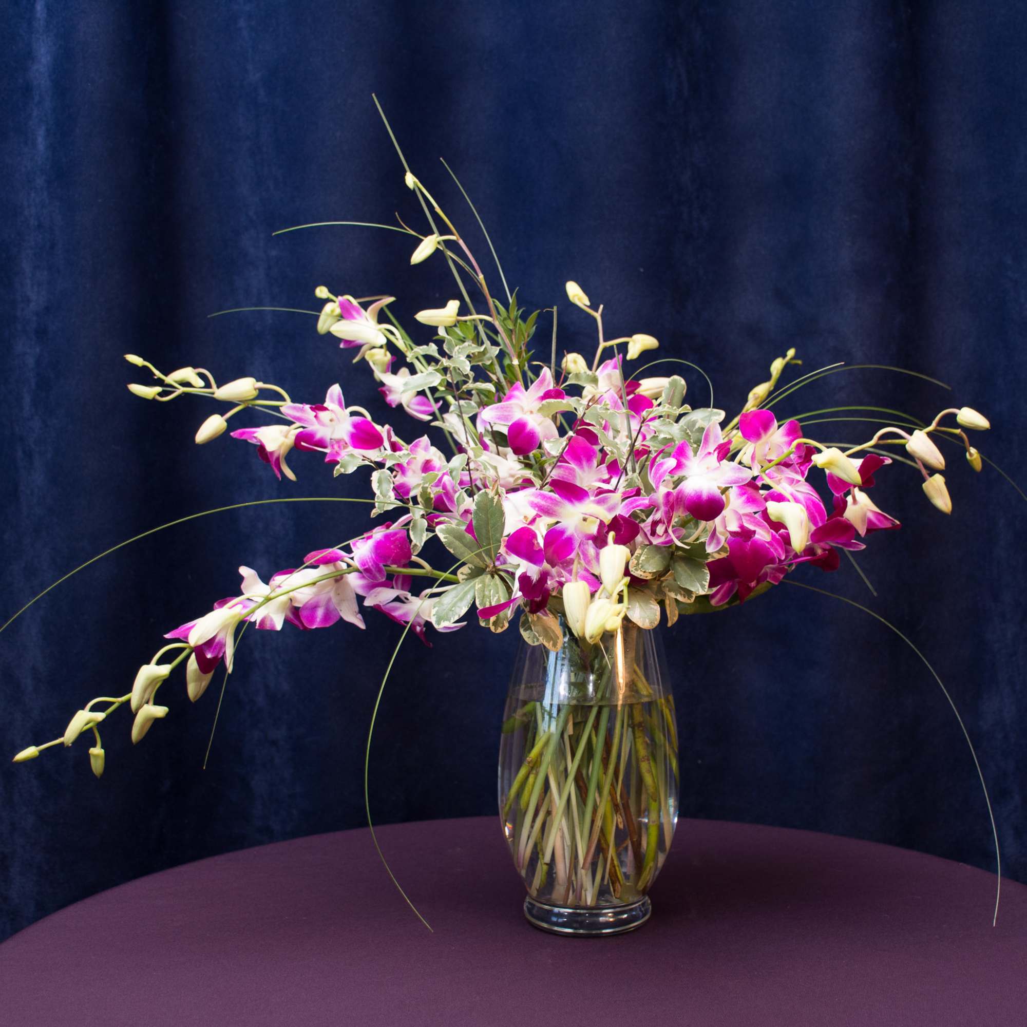 This array of orchids is sure to bring a smile to that